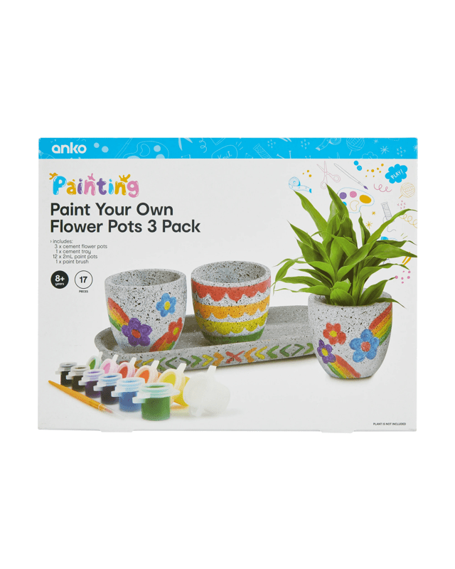 17 Piece Paint Your Own 3 Pack Flower 