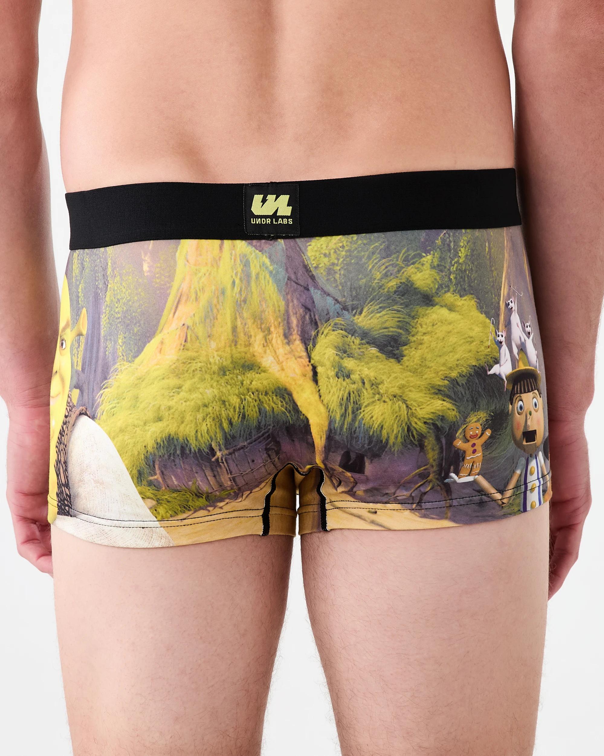 3 License Print Trunks Shrek W26, 3 of 6
