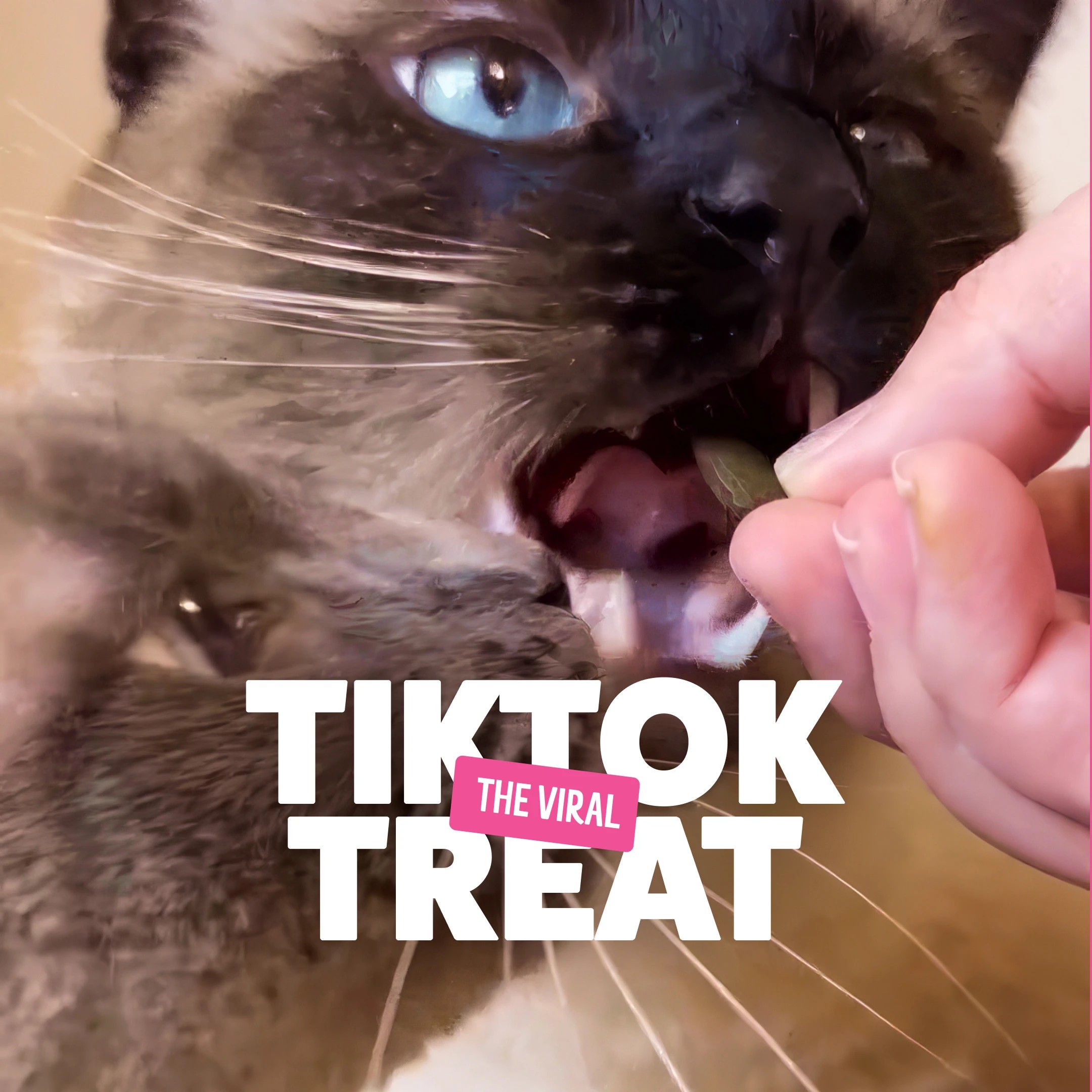 4 BONKERS Cat Treats Seafood, 4 of 10