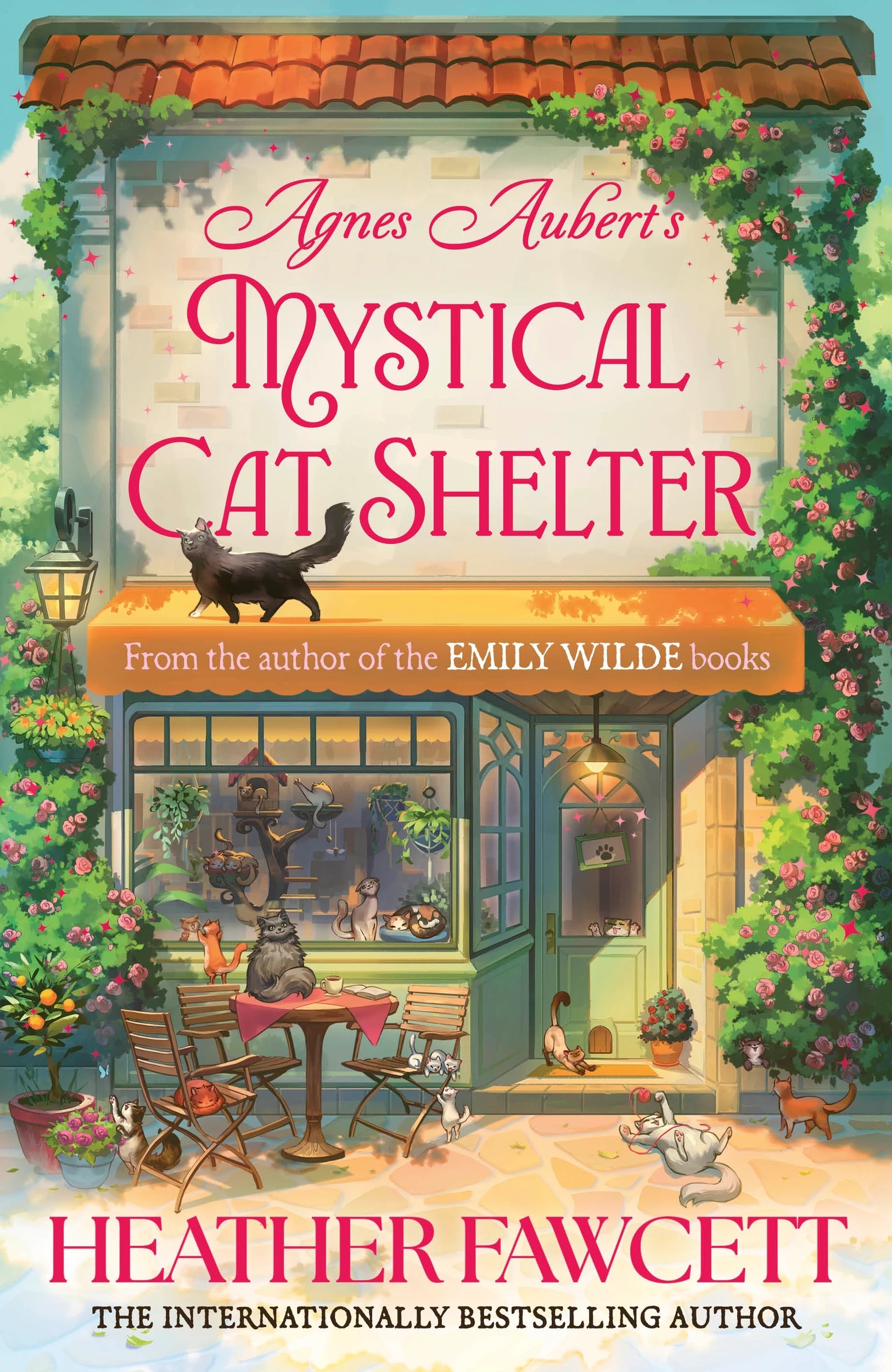 1 Agnes Aubert's Mystical Cat Shelter by Heather Fawcett - Book, 1 of 1