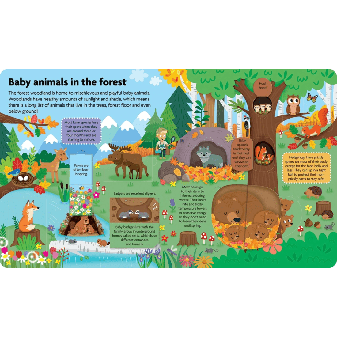 3 All About Baby Animals - Book, 3 of 3