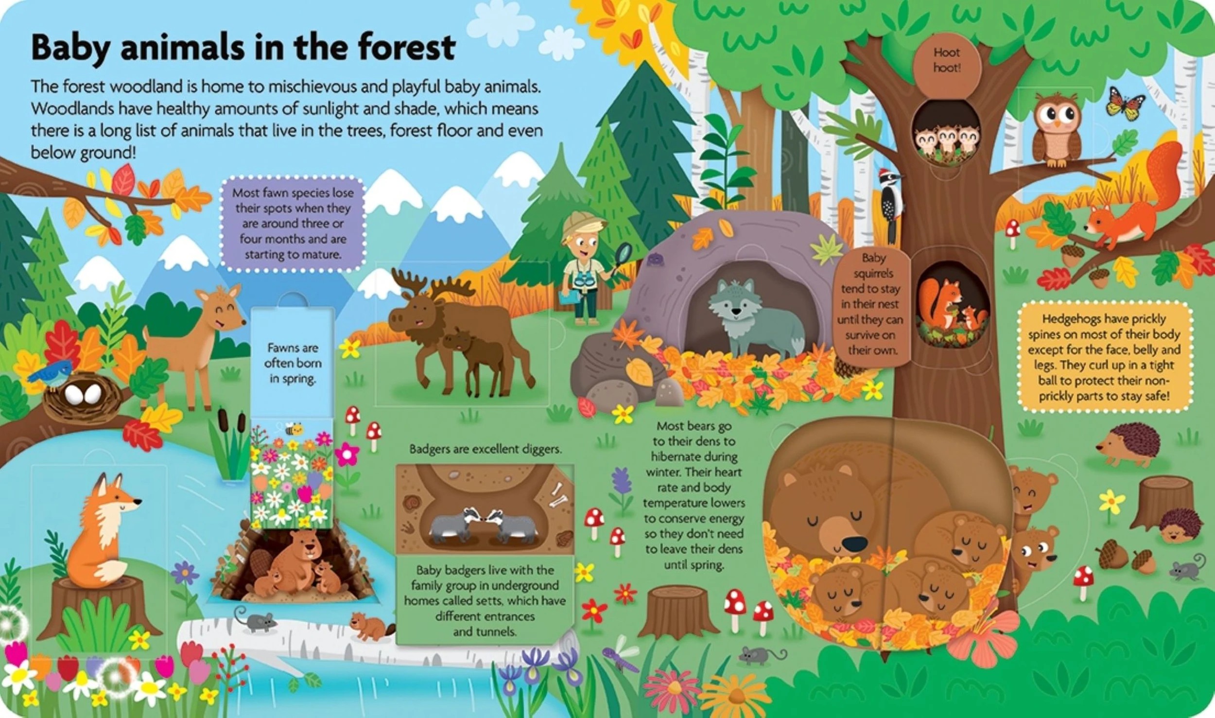 3 All About Baby Animals - Book, 3 of 3