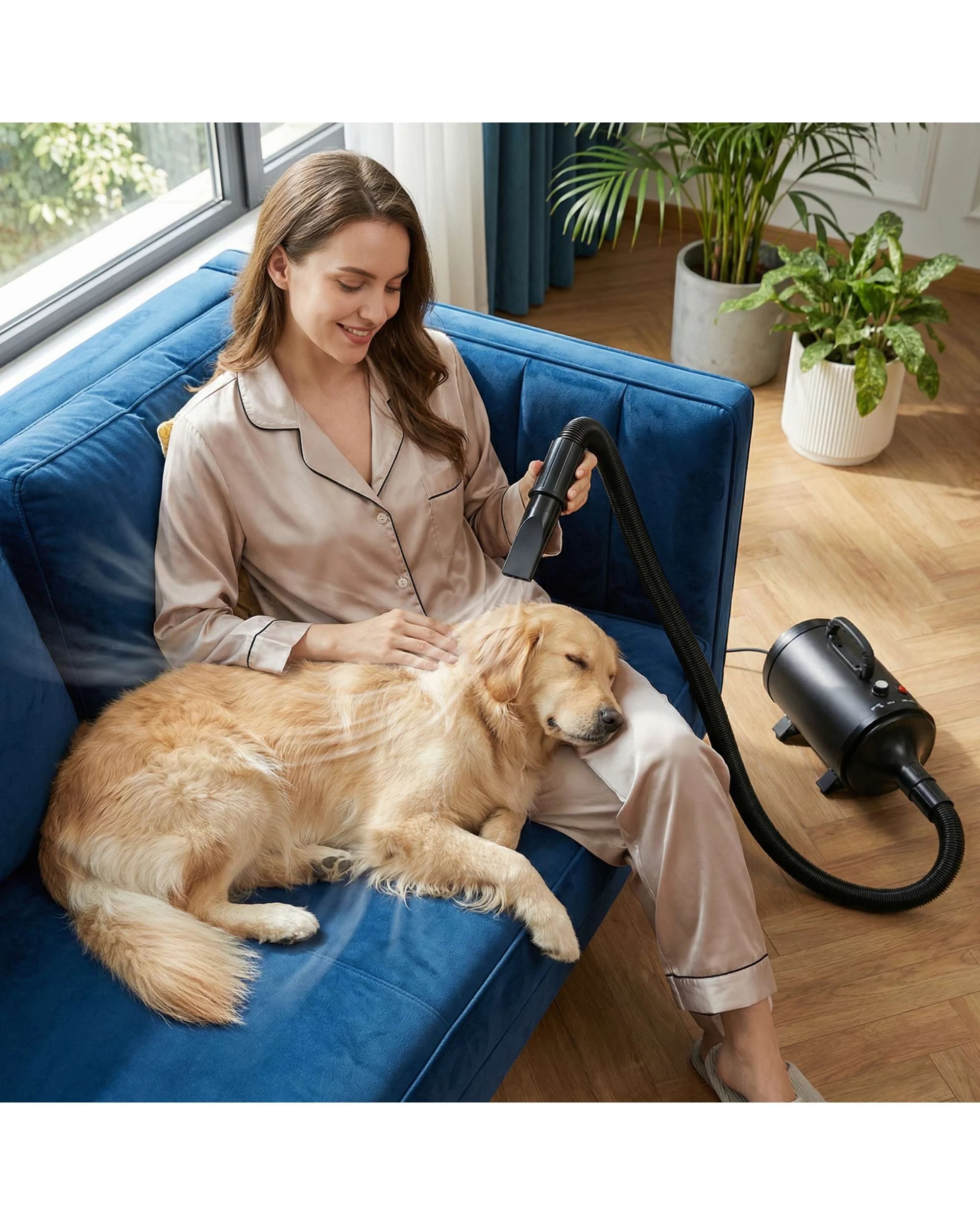 3 Advwin Pet Hair Dryer Dog Cat Grooming Blower, 3 of 7