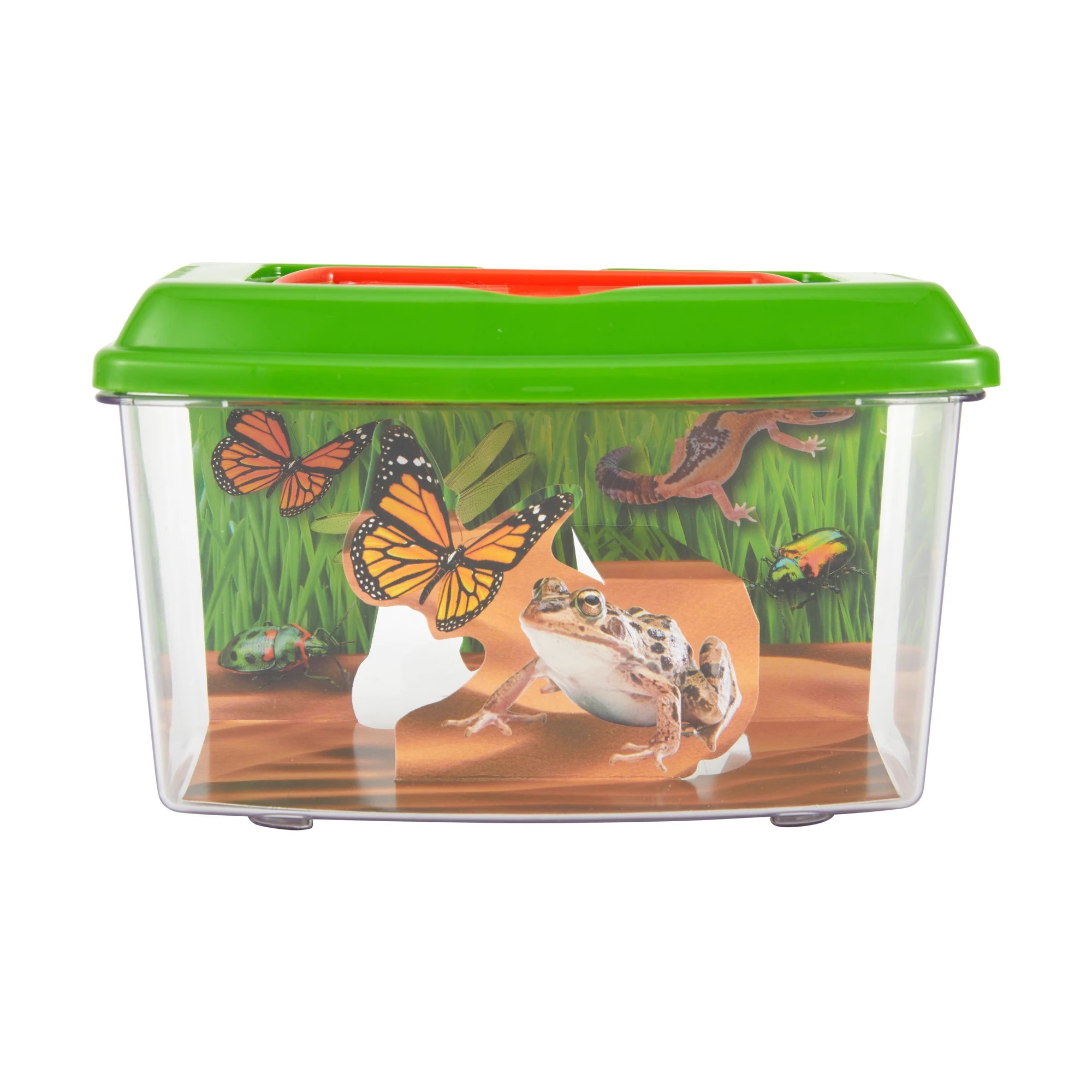 2 Bug Explorer Activity Set, 2 of 10