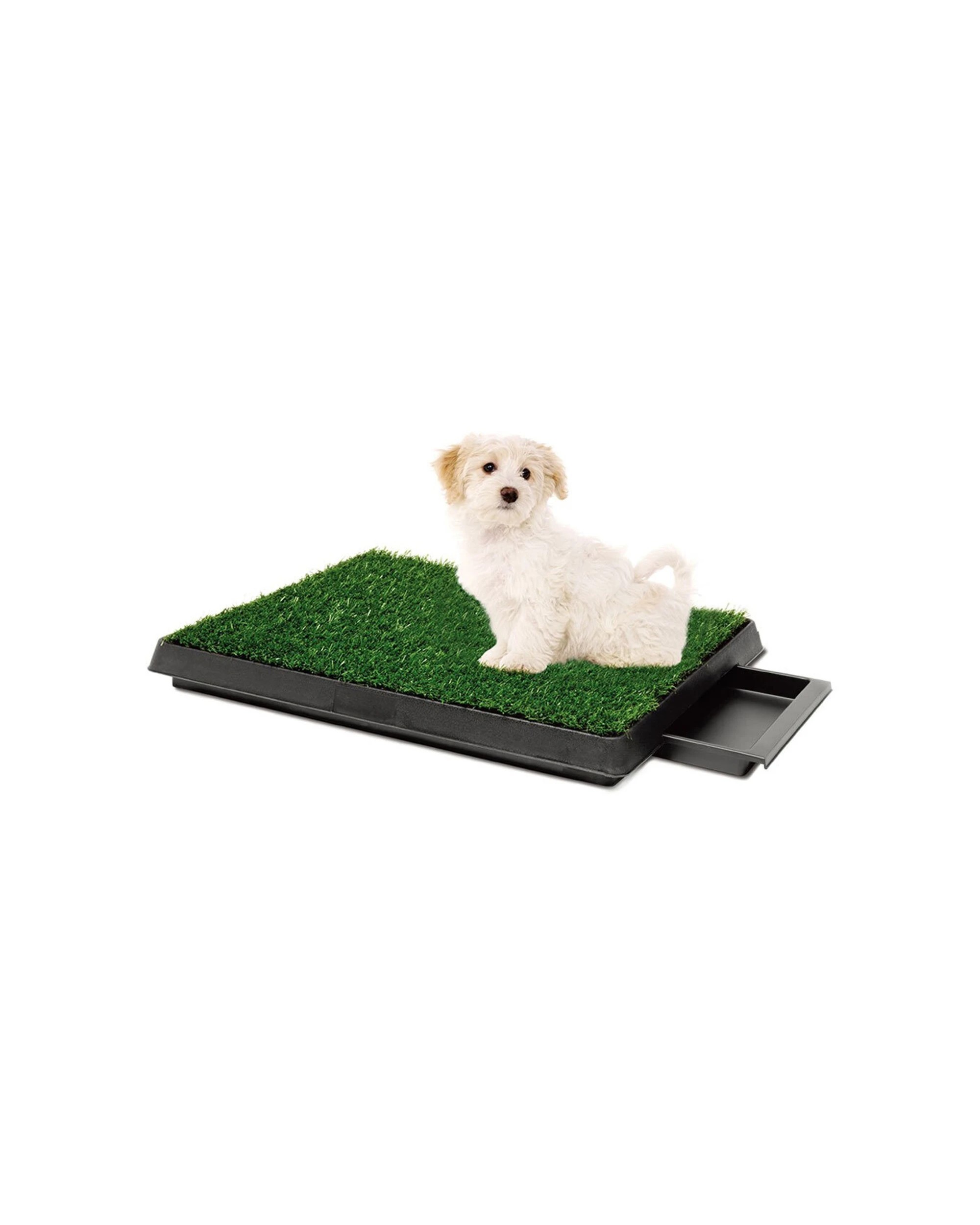 1 Paws And Claws Portable Indoor Training Potty Grass With Removable Waste Tray 63cm - Green, 1 of 5