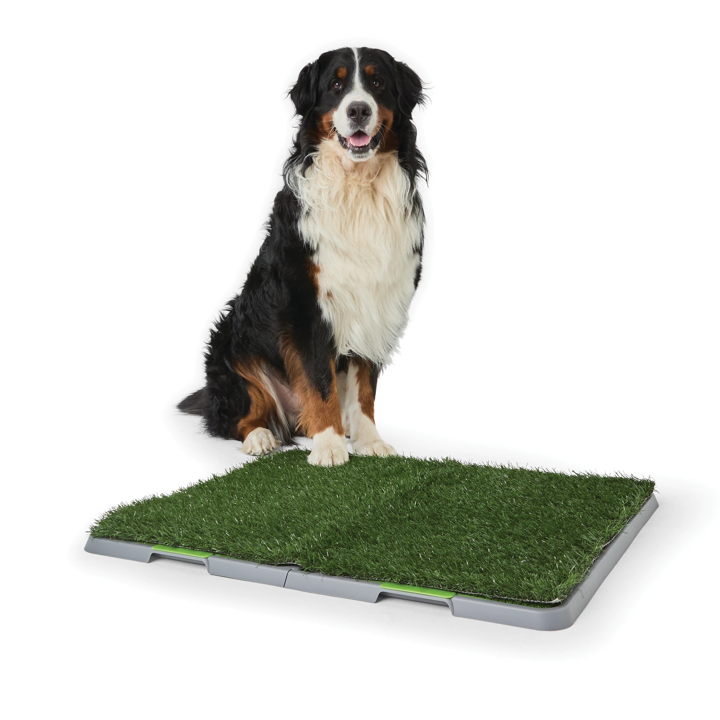 1 Pet Potty Mat - Extra Large, 1 of 10