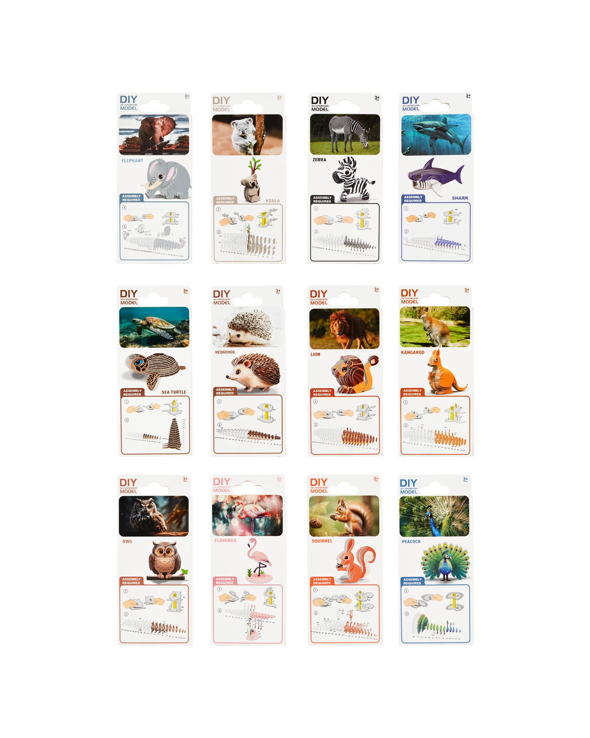8 DIY 3D Cardboard Model - Assorted, 8 of 8