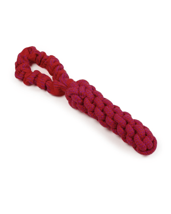 Pet Toy Rope Stick with Bungee