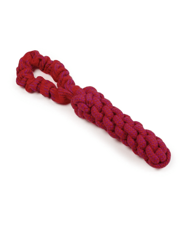 Pet Toy Rope Stick with Bu