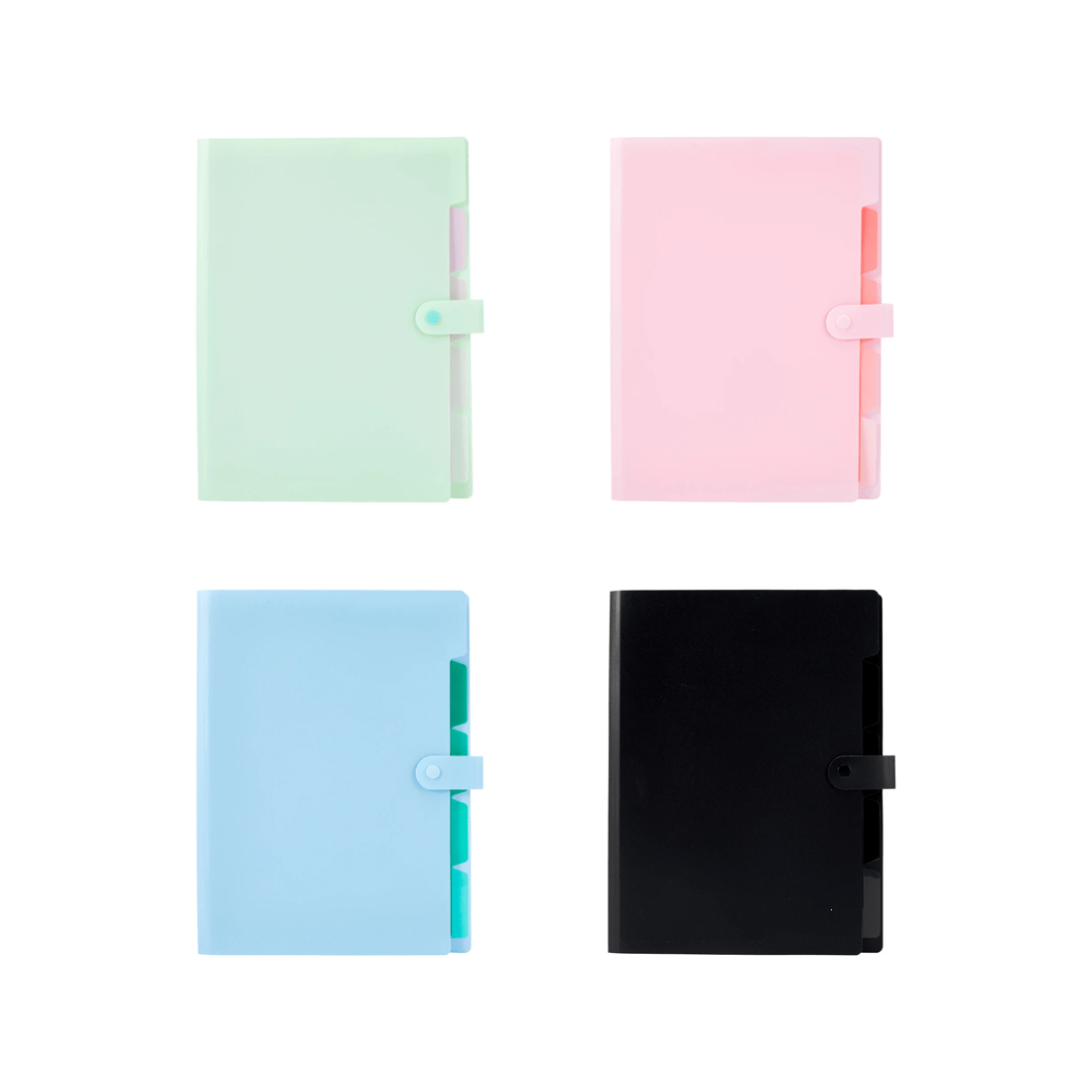 4 A4 Expansion File - Assorted, 4 of 8