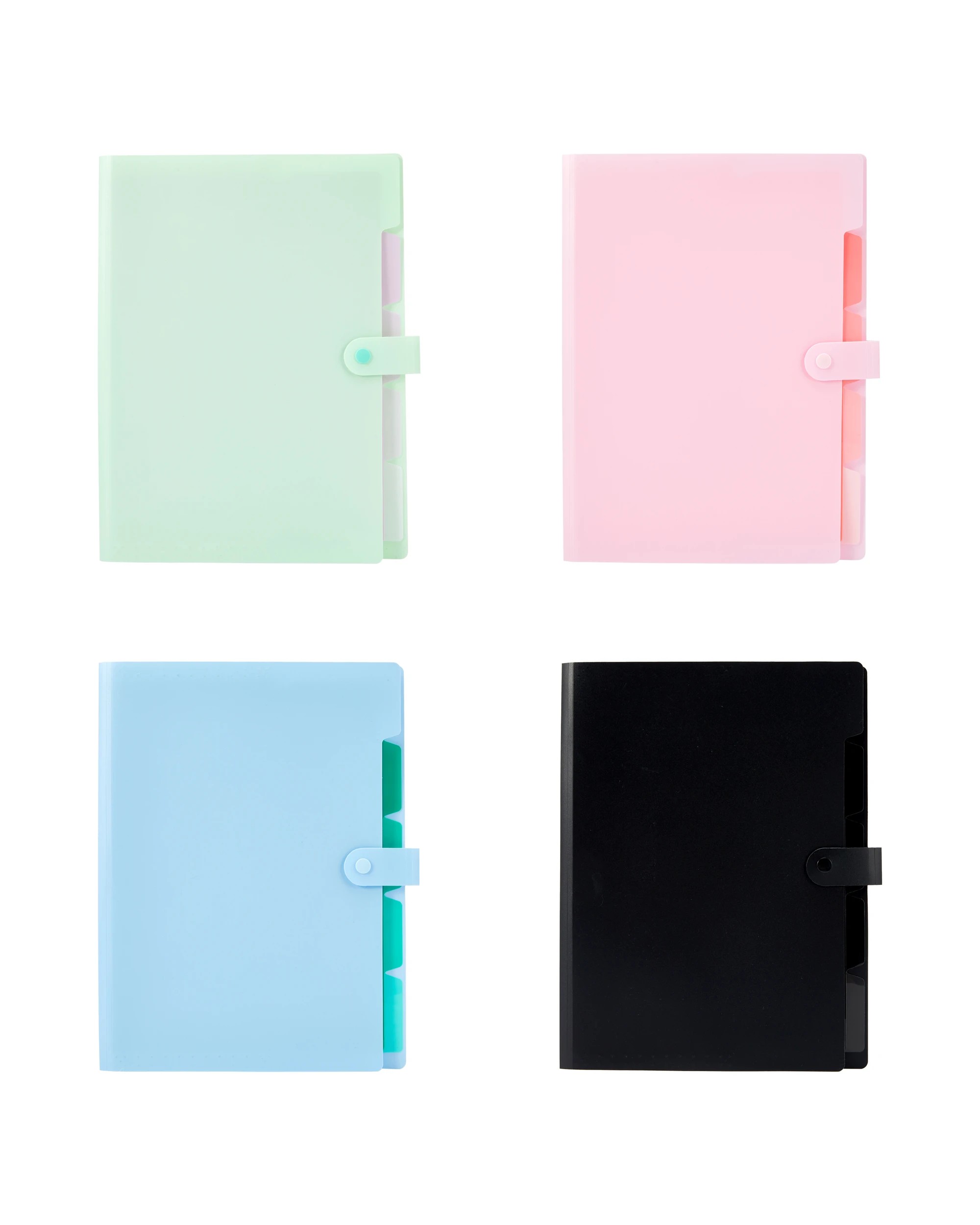 4 A4 Expansion File - Assorted, 4 of 8