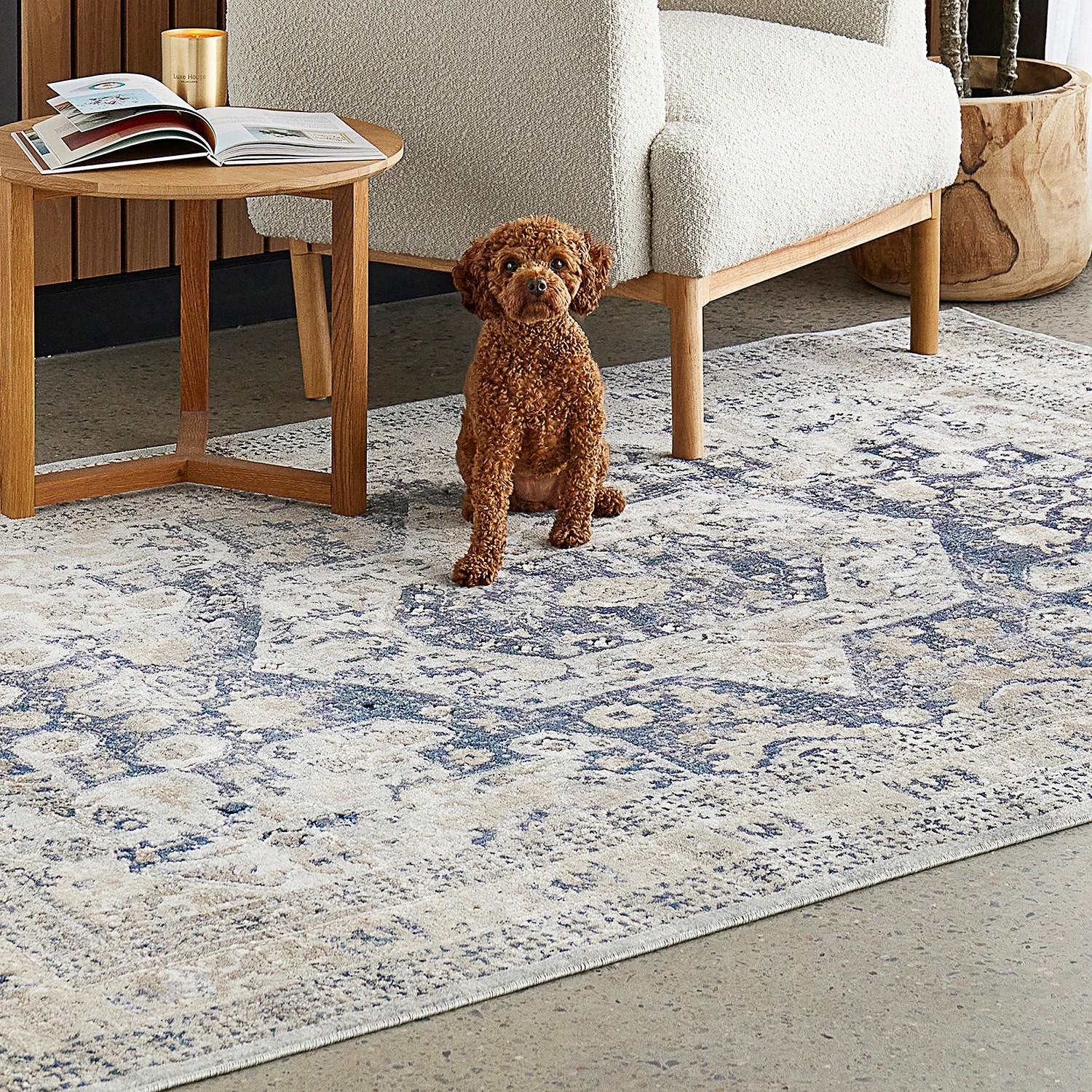 1 Common Ground Rugs Serendipity 834 230x160cm - Medium Power Loomed Pet Friendly Floor Rug - Blue, 1 of 9