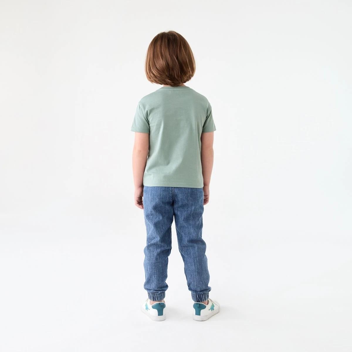 6 Chest Print T-shirt DINOTOPIA CHINOIS GREEN, 6 of 6