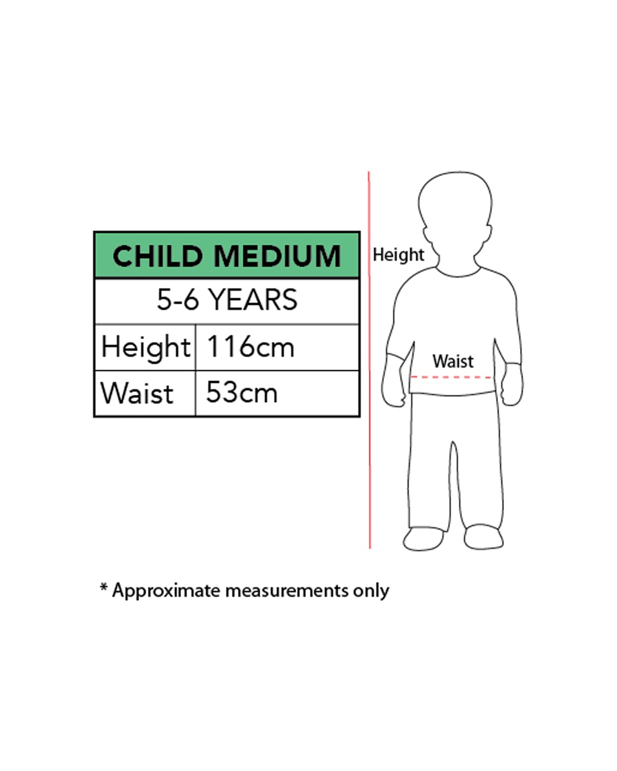 1 Disney Elsa Frozen 2 Deluxe Costume Kids Dress Up Party Halloween 5-6y
 - Blue, 1 of 4