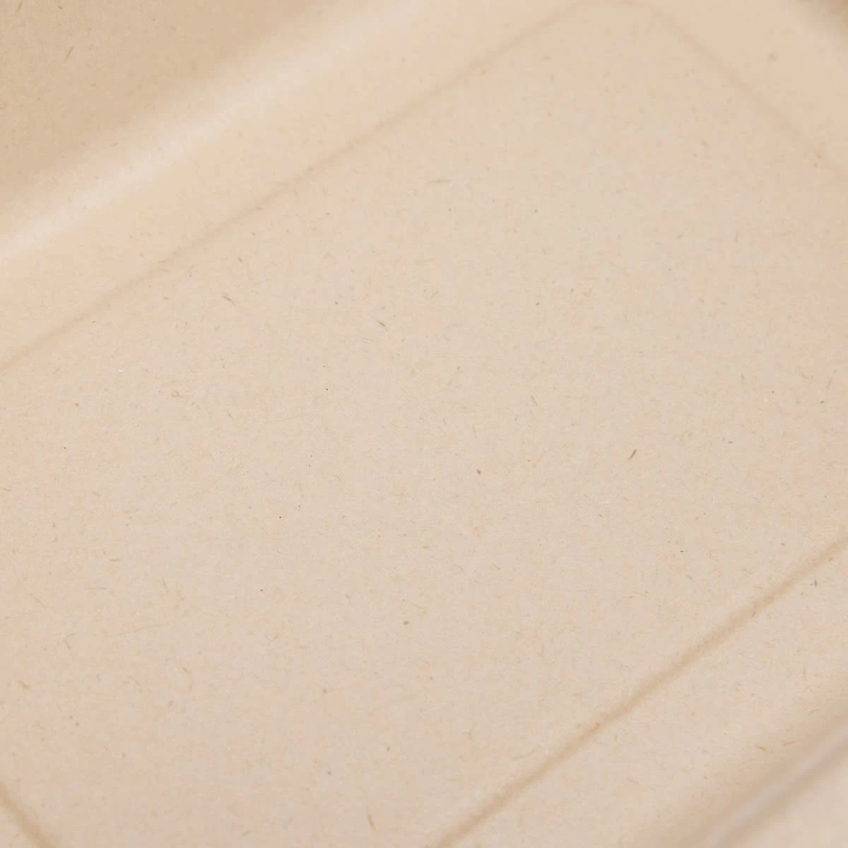5 12 Piece Sugarcane Pulp Trays, 5 of 7