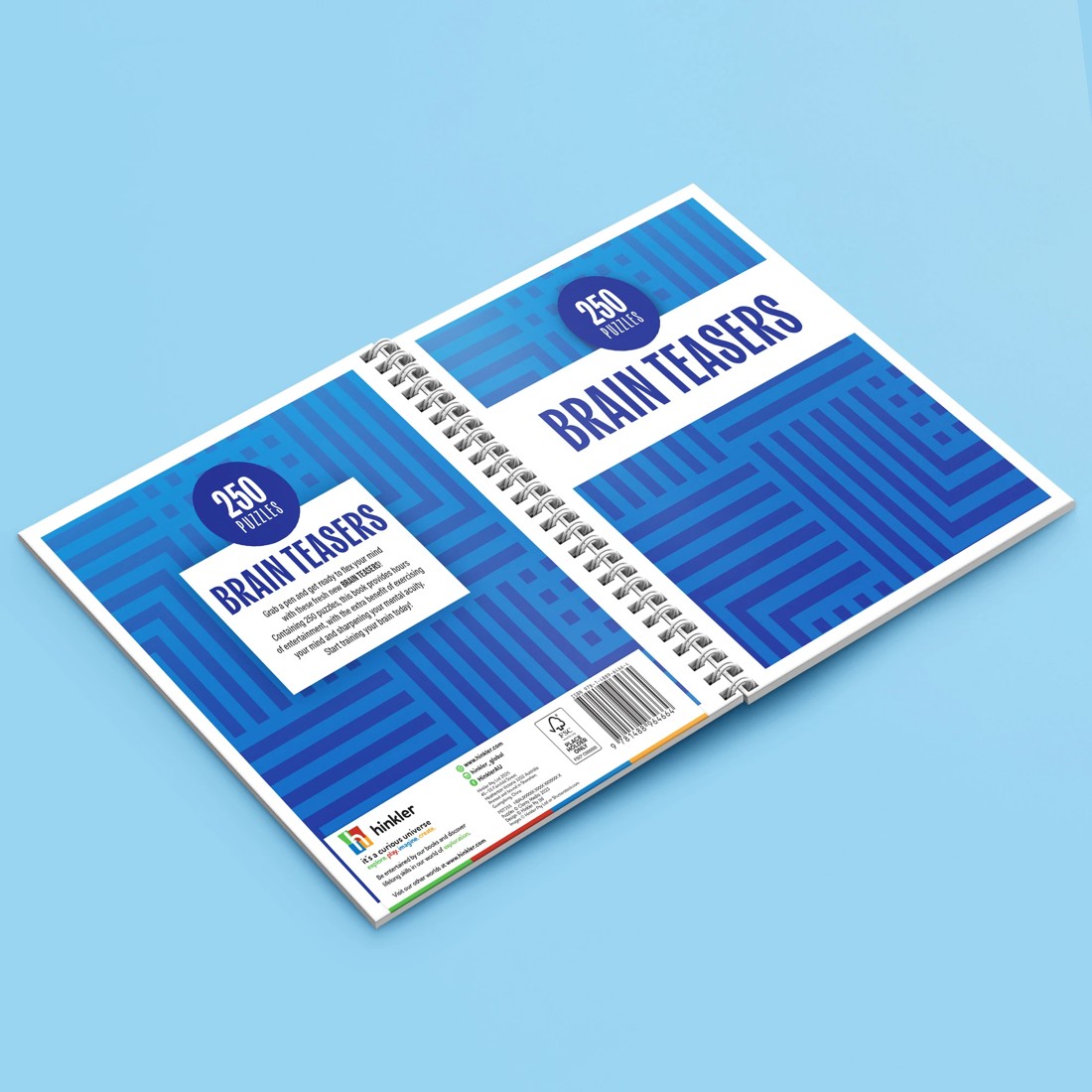 3 250 Puzzles: Brain Teasers - Book, 3 of 5