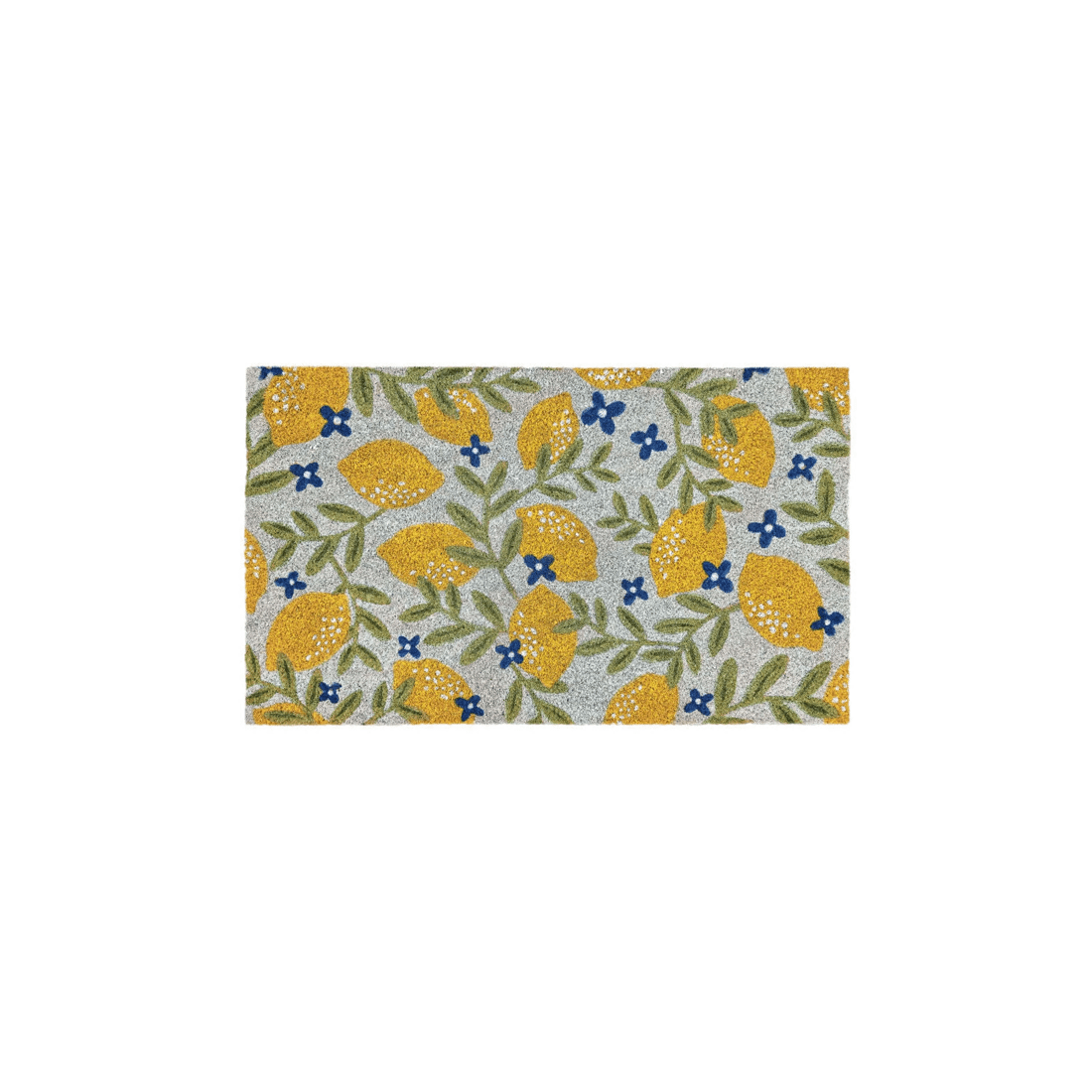 1 J.elliot Home Lemons 45x75cm Door Mat Floor Area Rug Pvc Backed Coir Rectangle
 - Multi, 1 of 3