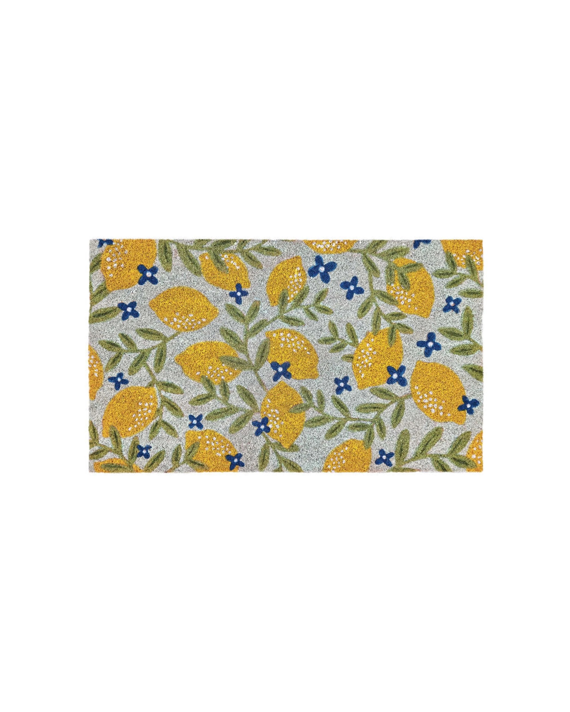 1 J.elliot Home Lemons 45x75cm Door Mat Floor Area Rug Pvc Backed Coir Rectangle
 - Multi, 1 of 3