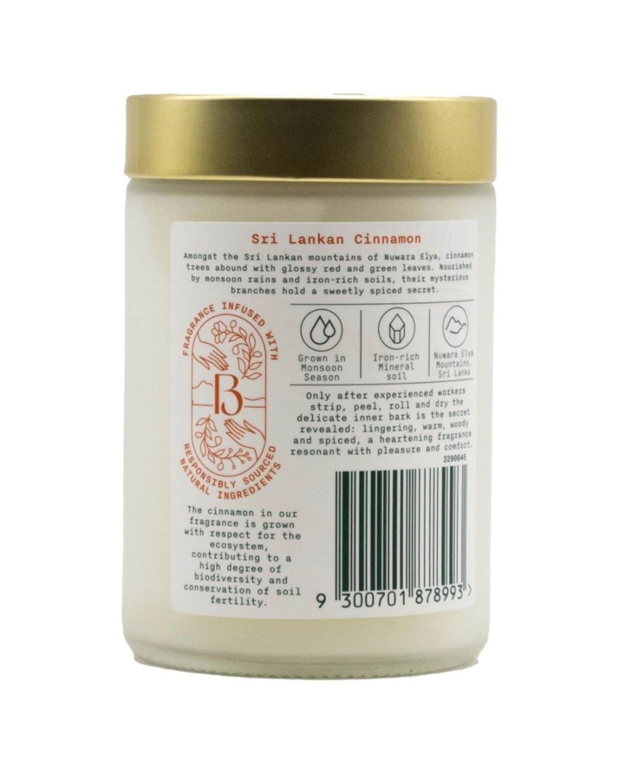 3 Air Wick 6PK Botanica Origins Candle Sri Lankan Cinnamon Scented - Multi, 3 of 3