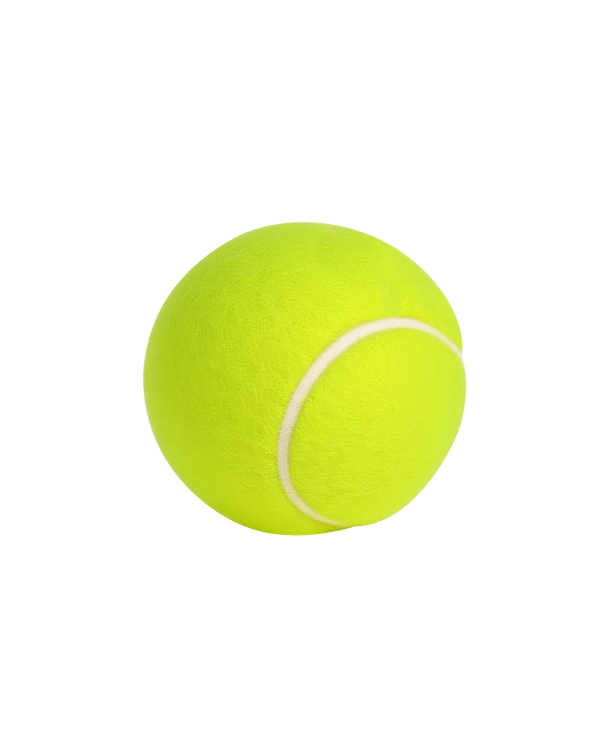 5 Advwin Pet Tennis Balls - 12 Pack, 5 of 6