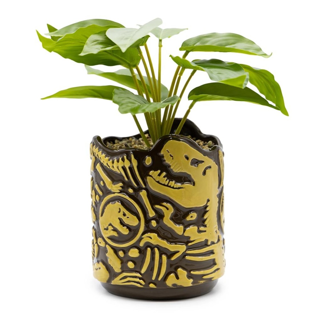 1 Jurassic Park - Fossils Planter Pot with Plant - Brown, 1 of 4