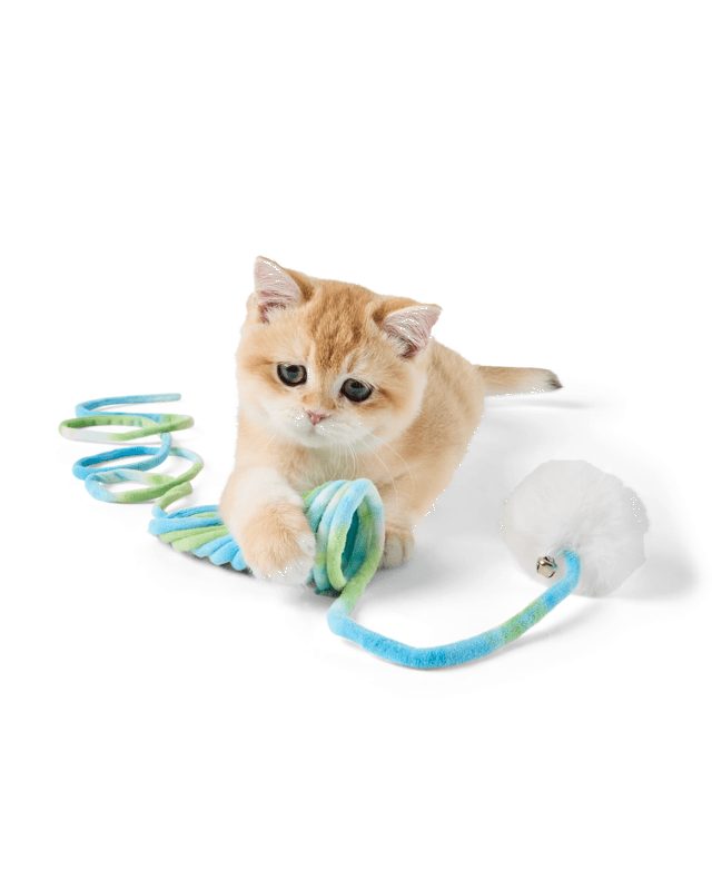 Cat Toy Slinky Ch