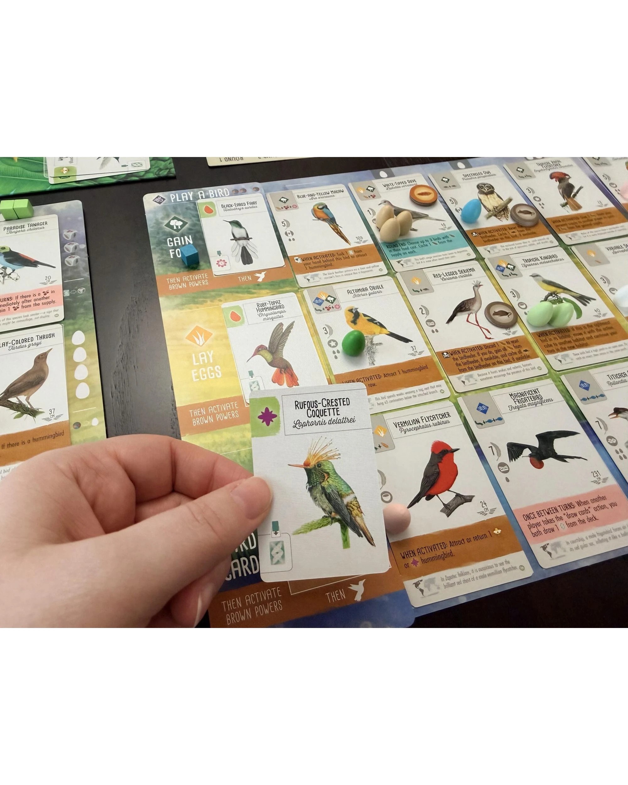 6 Wingspan Americas Expansion Board Game, 6 of 10