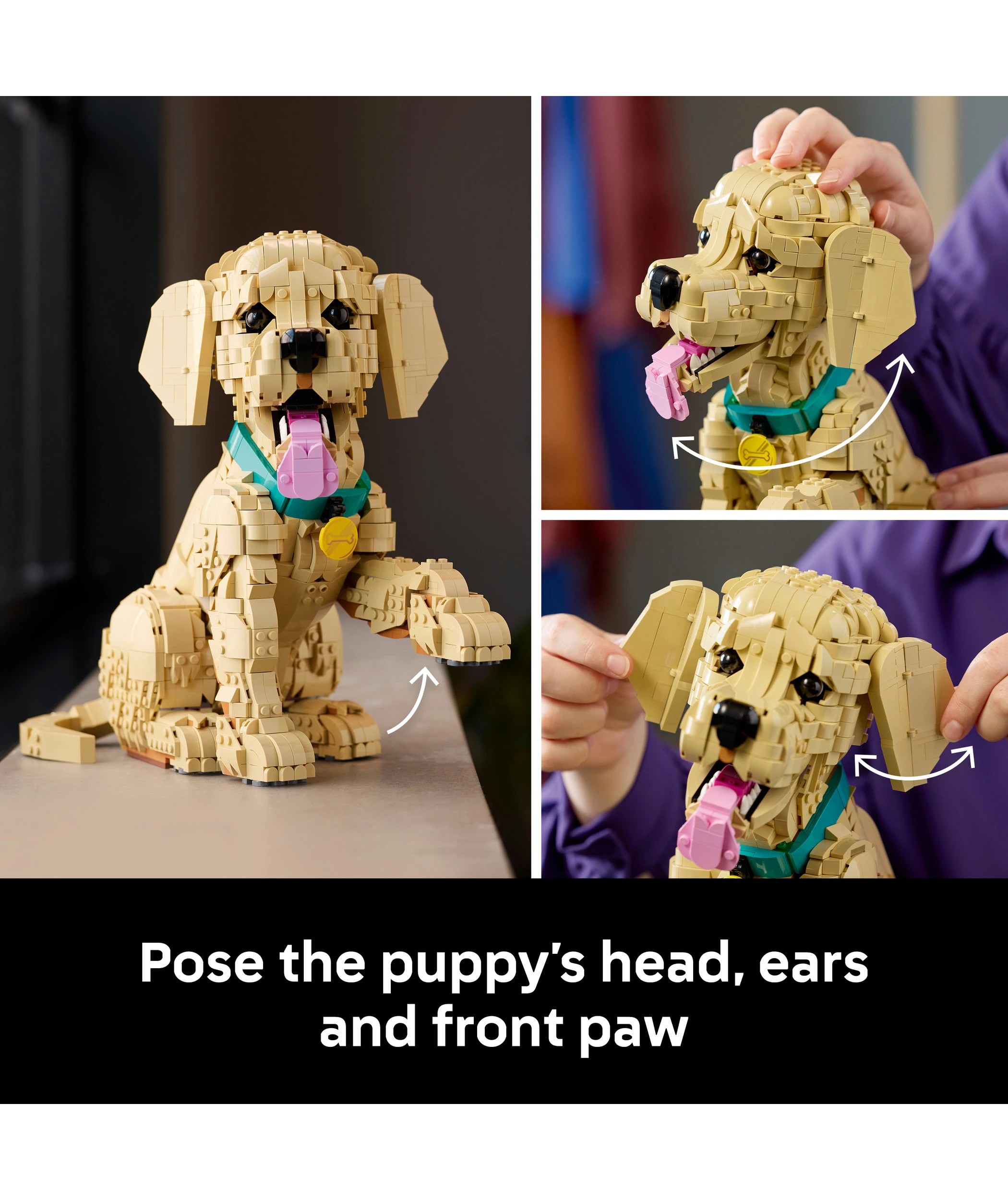 5 LEGO Icons Golden Retriever Puppy 11384, 5 of 10