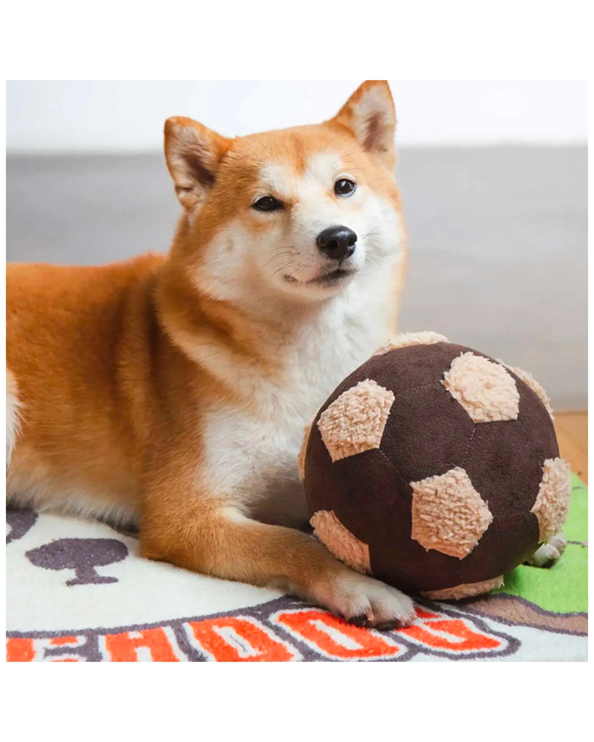 3 TOUCHDOG 50cm Rectangle Pet Resting Mat Corgi - Skid-Proof Micro Grips
 - multi, 3 of 3