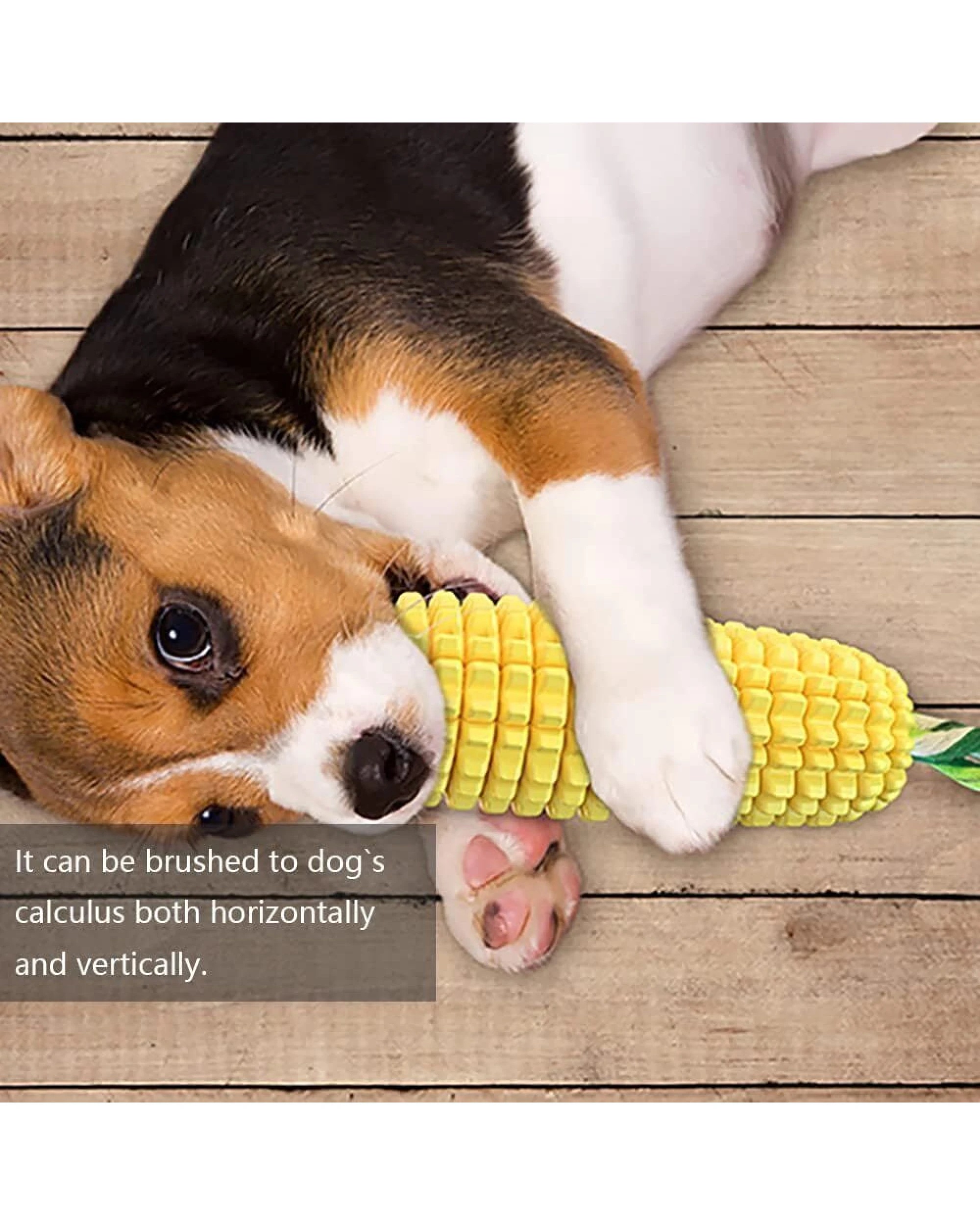 2 BR Pets Dog Toothbrush Teeth Cleaner Chew Toy, 2 of 7