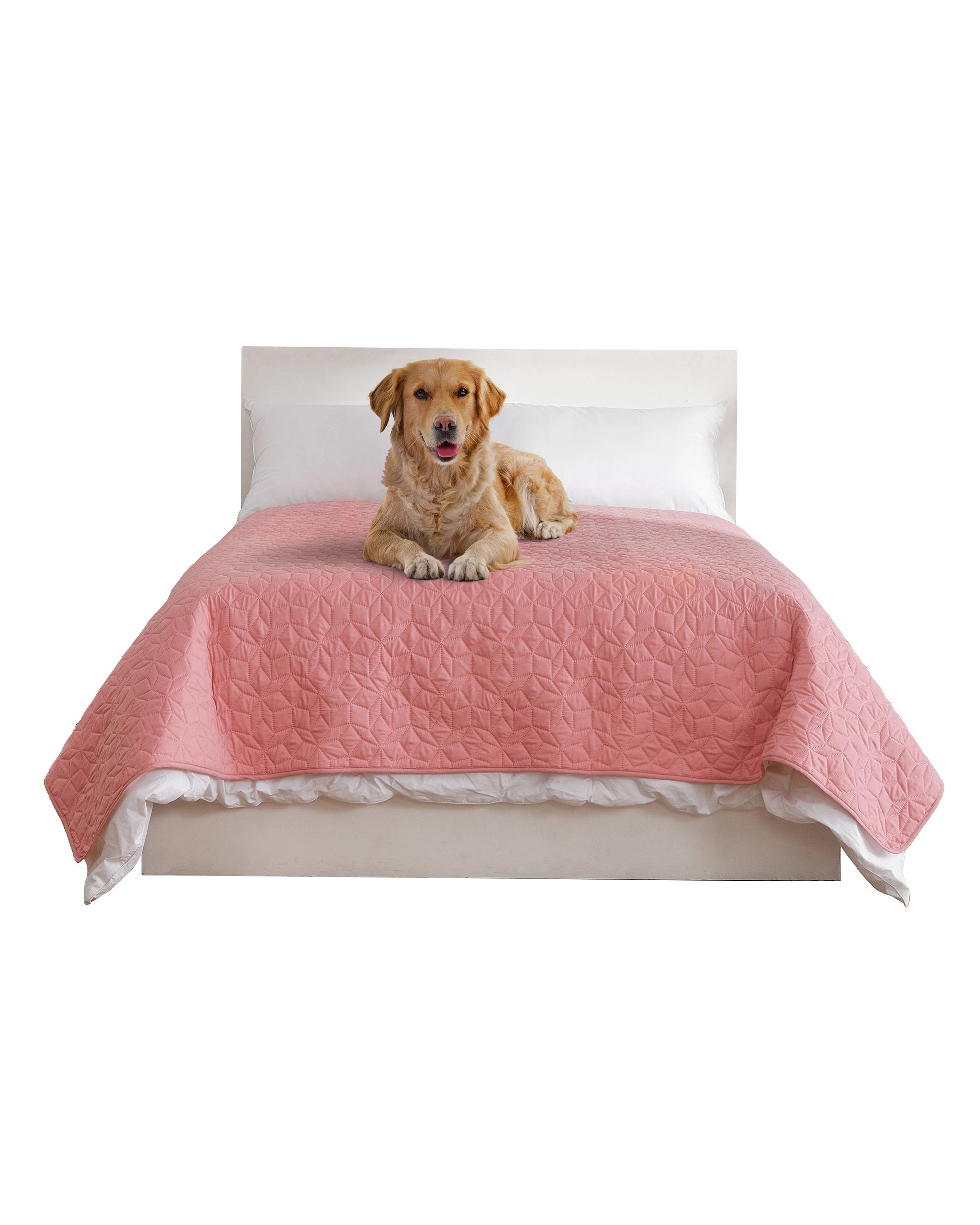 3 Charlie's Sofur Waterproof Dog Bed Cover Protector Double/Queen 208x208cm - Double/Queen - Pink, 3 of 10