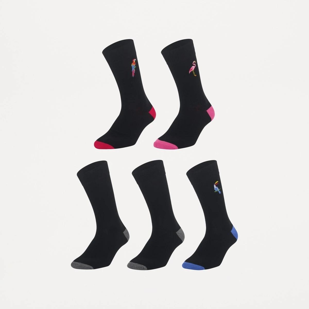 1 5 Pack Embroidered & Plain Socks BIRDS TROPPO, 1 of 3