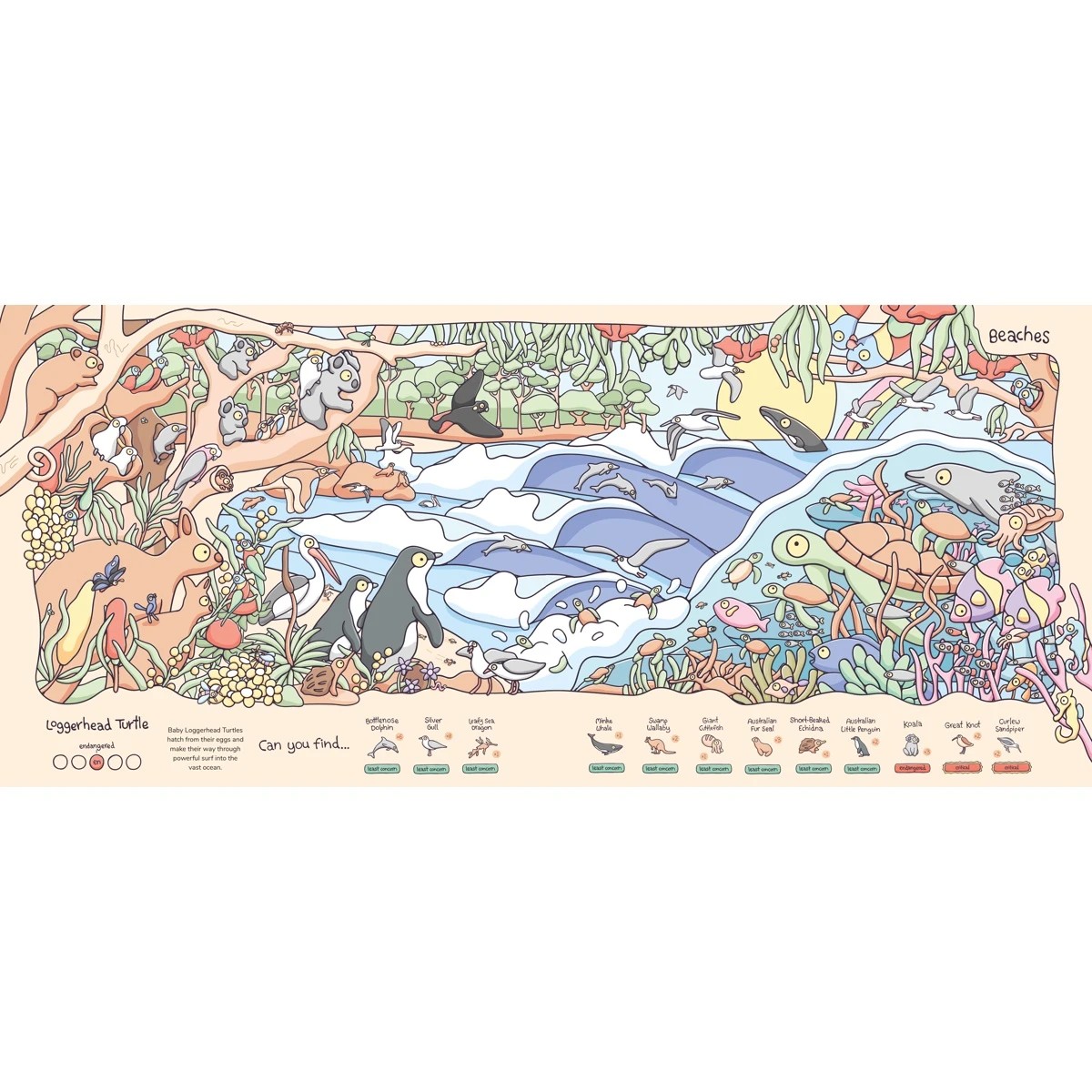 5 Australian Animals: From Beach to Bush by Brentos - Book, 5 of 5