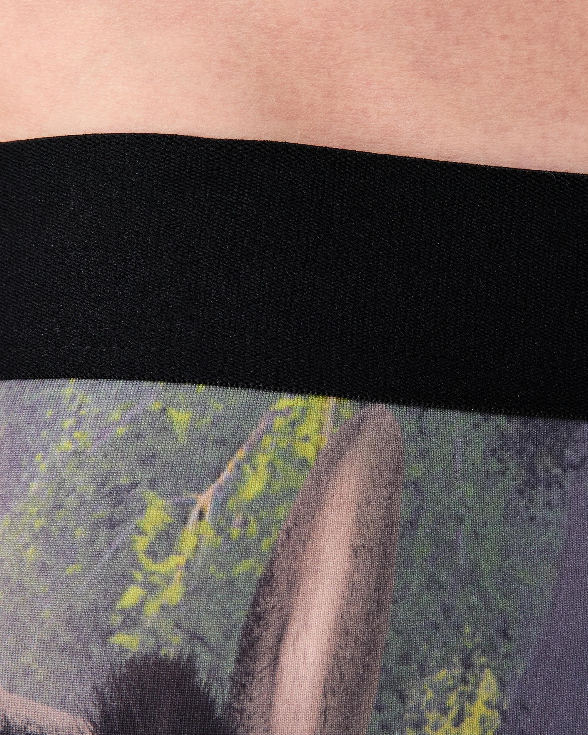 4 License Print Trunks Shrek W26, 4 of 6