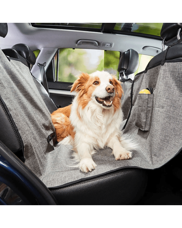 Pet Back Seat C