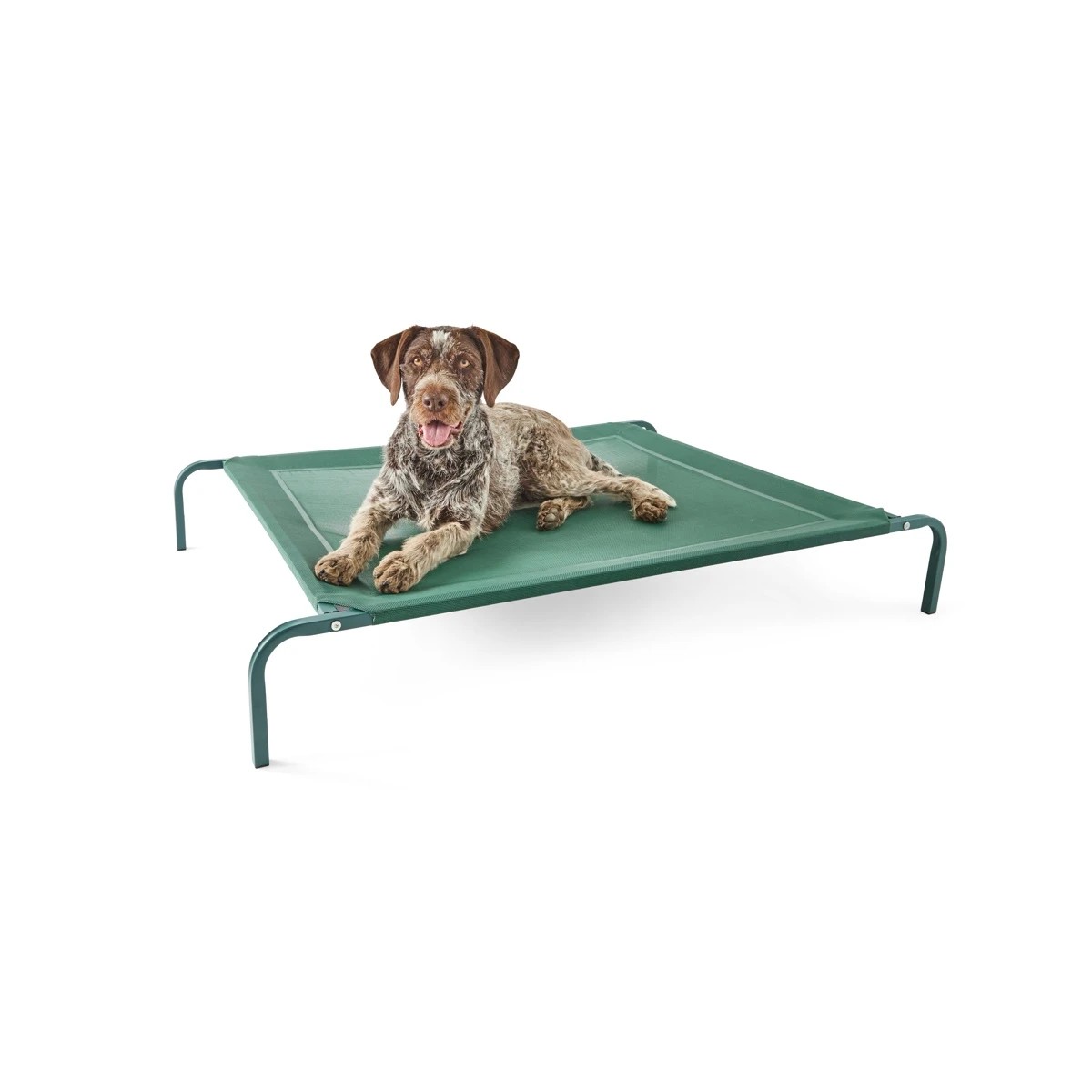 1 Pet Bed Elevated - Large, 1 of 8
