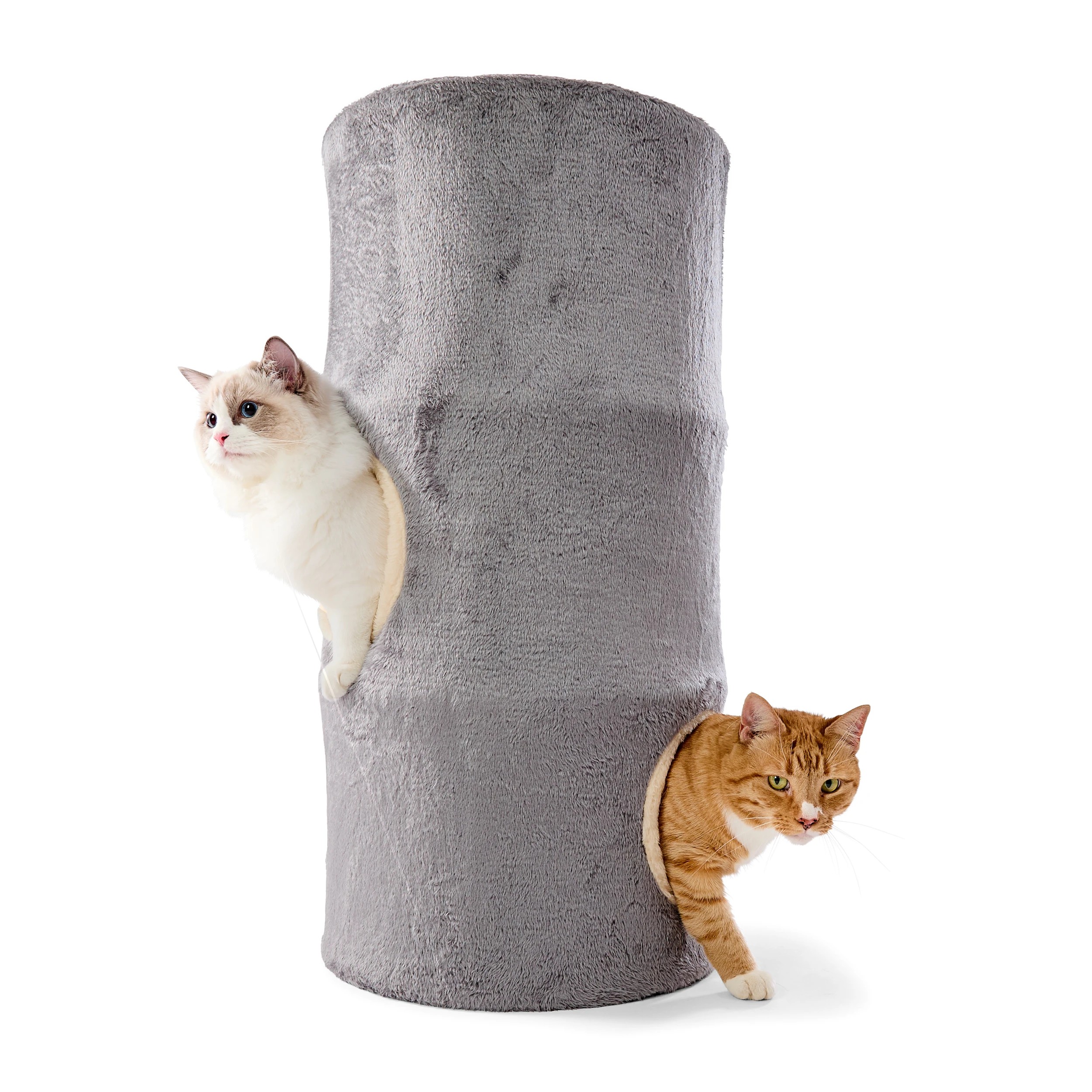 1 Cat Hotel, 1 of 10