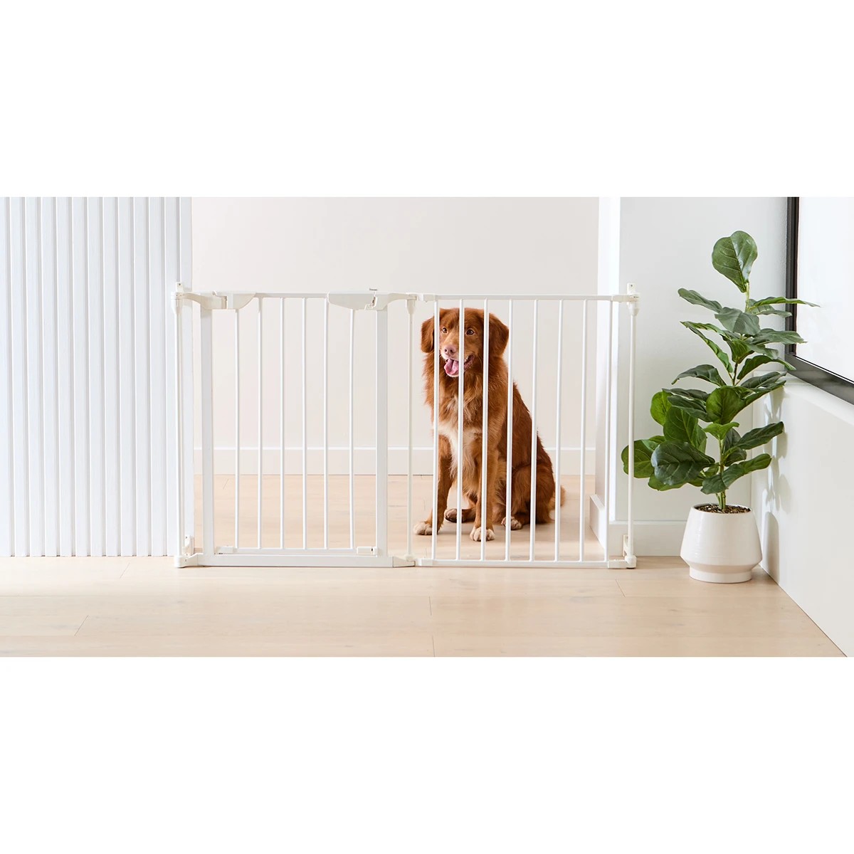 10 Pet 2-in-1 Gate and Enclosure, 10 of 10