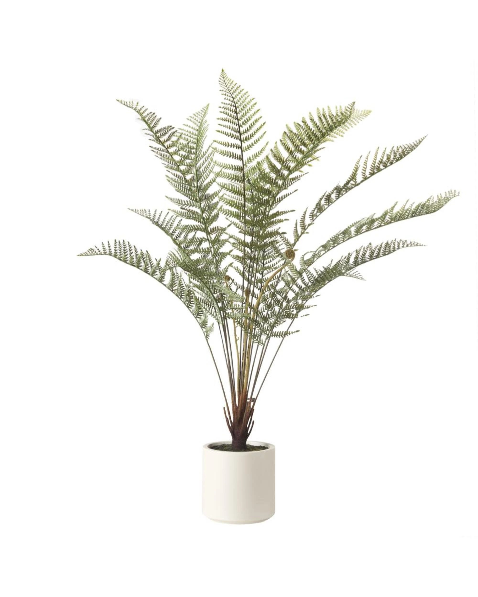 1 Rogue Fern Artificial Pot Plant  Green 133x79x79cm - Green, 1 of 3