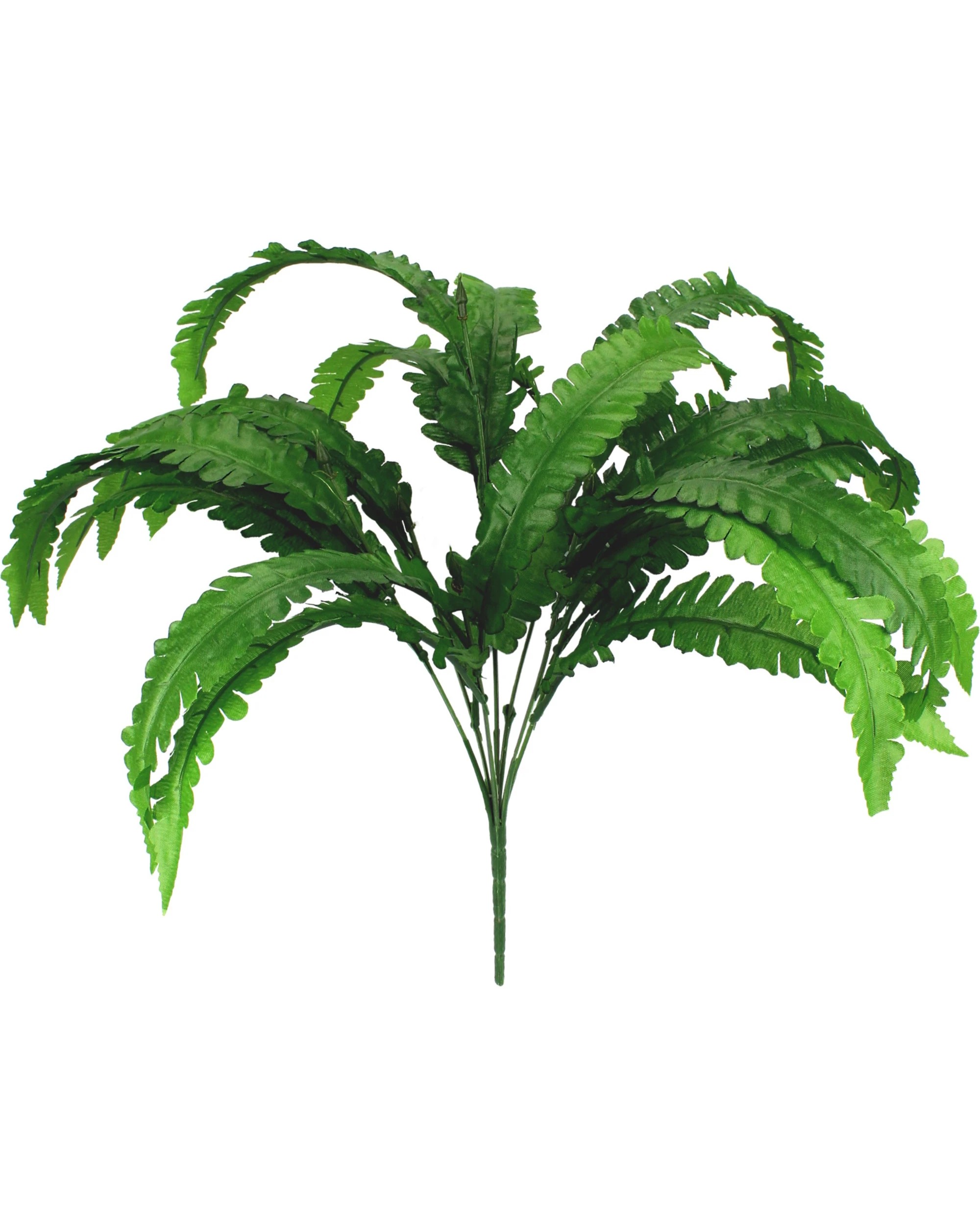 1 JD Party Artificial Fern Leaves 1 Bouquet - Green, 1 of 1