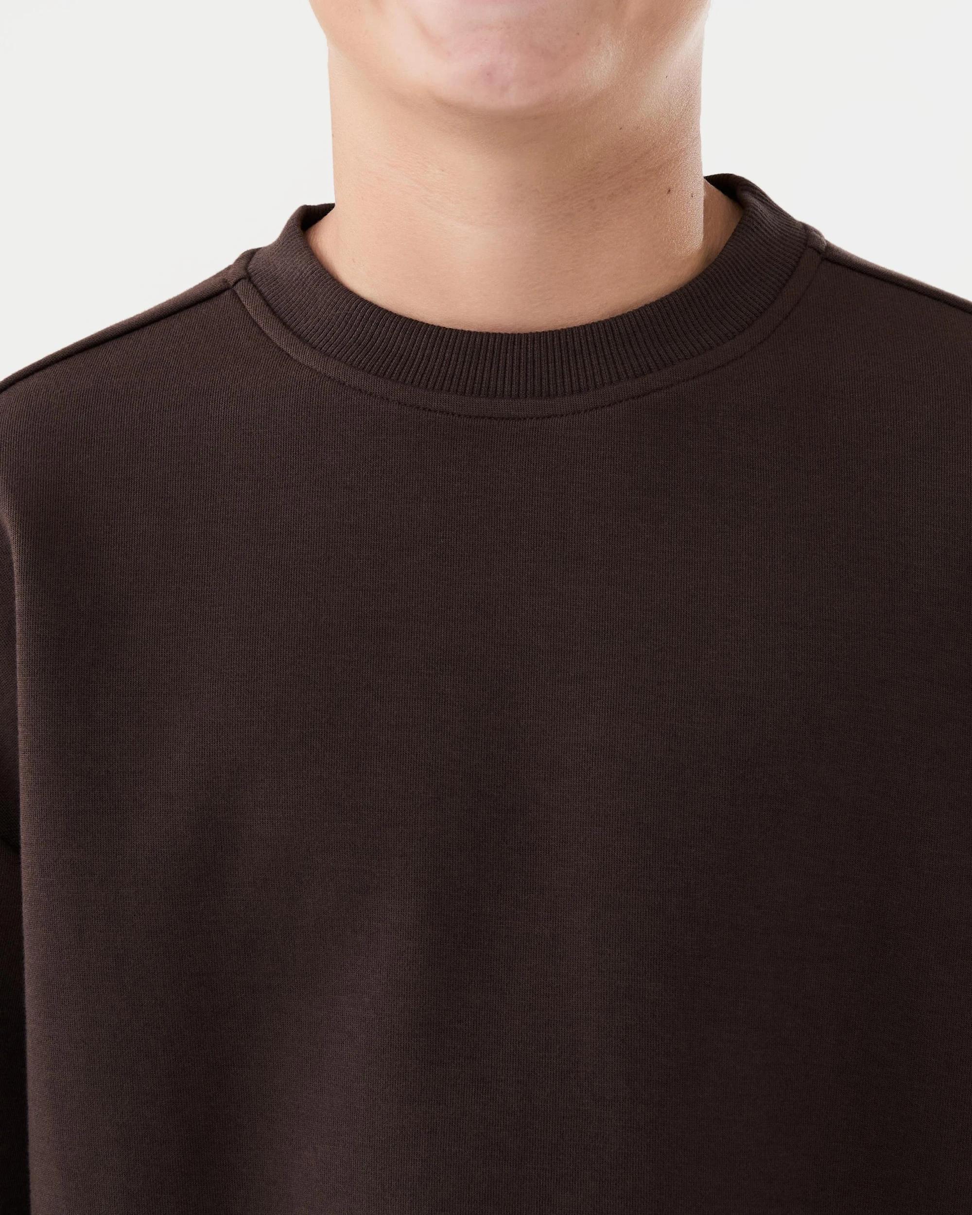 4 Short Sleeve Oversize Interlock T-shirt Seal Brn, 4 of 6