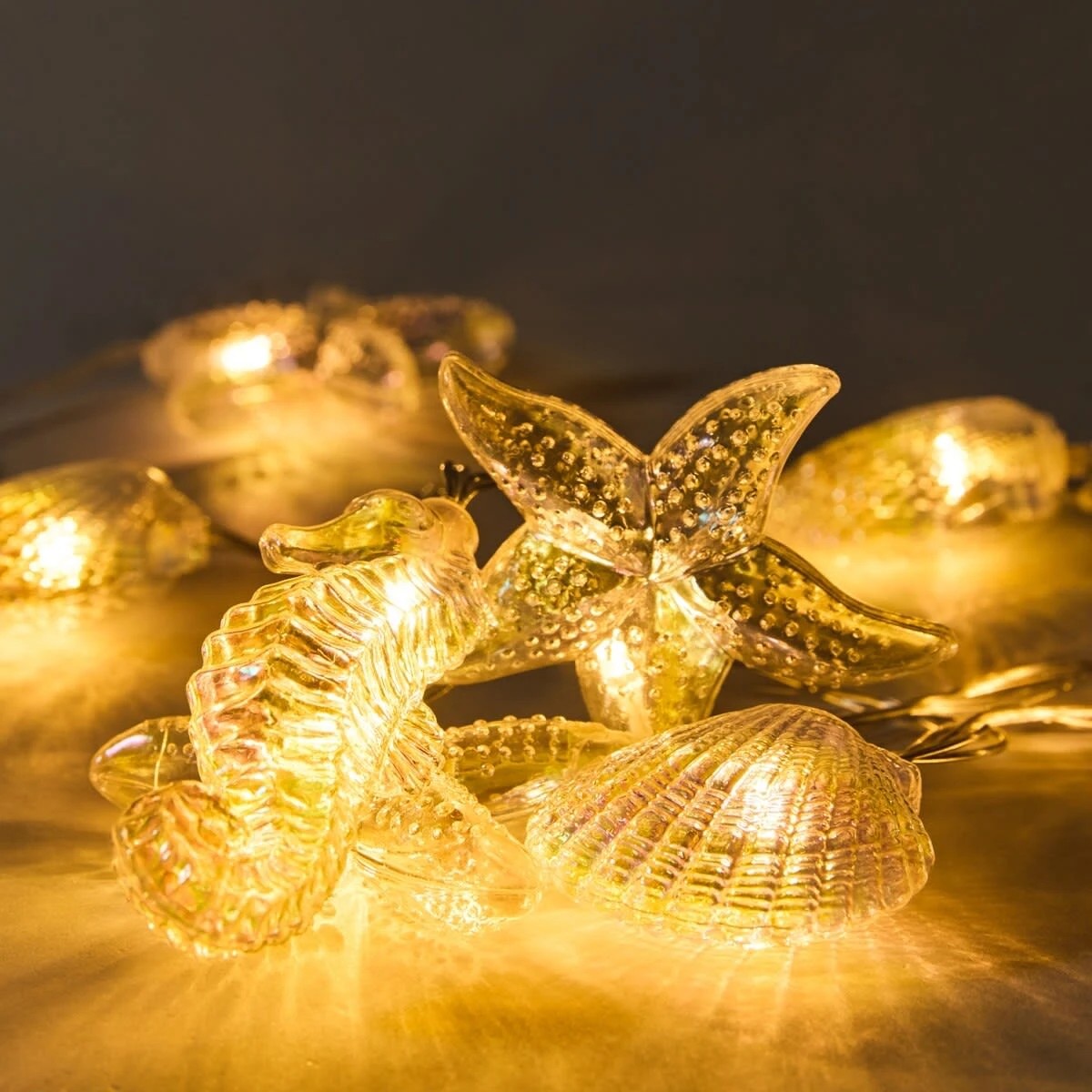 2 Sea String Light, 2 of 8