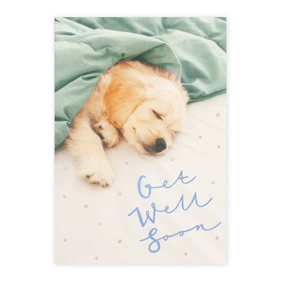 2 Connections from Hallmark Get Well Soon Greeting Card - Sleeping Puppy, 2 of 2