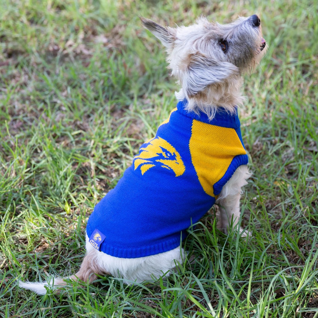 4 AFL West Coast Eagles Pet Jumper - Small, 4 of 4