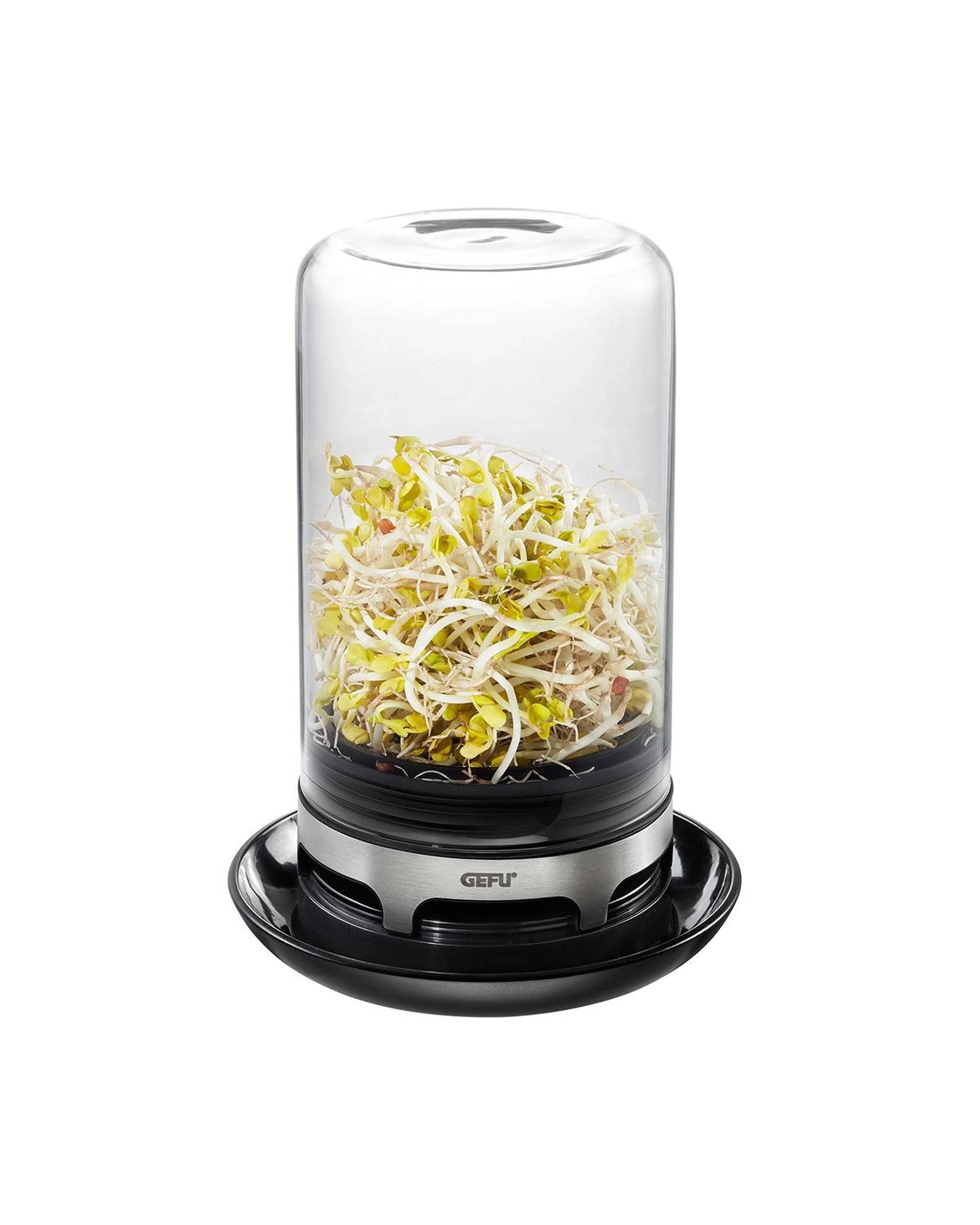 6 Gefu Bivita Sprouting Jar, 6 of 6