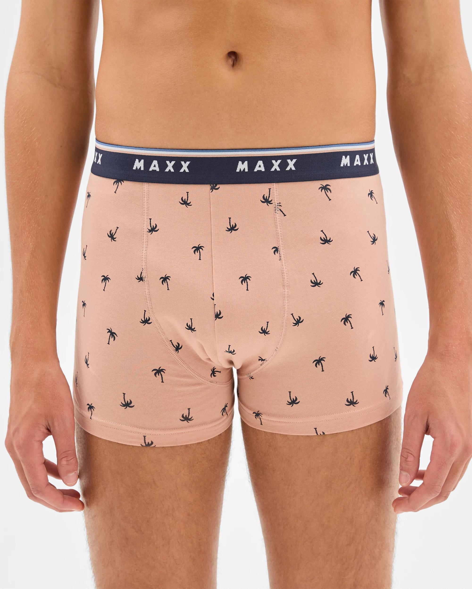 3 Mens Hipster Trunk 3 Pack - Maxx MULTI PALM TREE/STONEWASH/STRIPE, 3 of 6