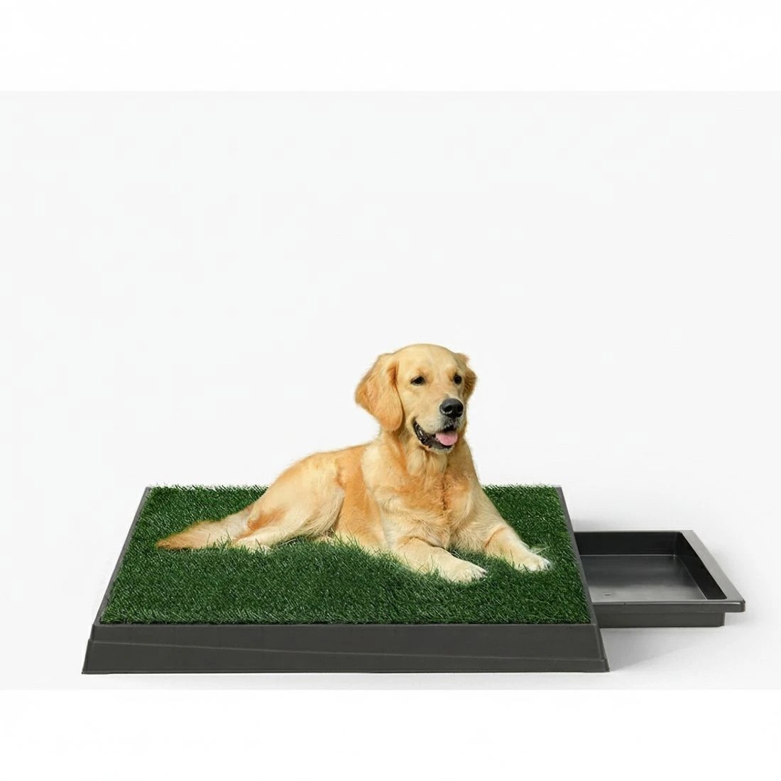 3 i.Pet Pet Training Pad Dog Potty Toilet Large Loo Portable With Tray Grass Mat - Green, 3 of 5