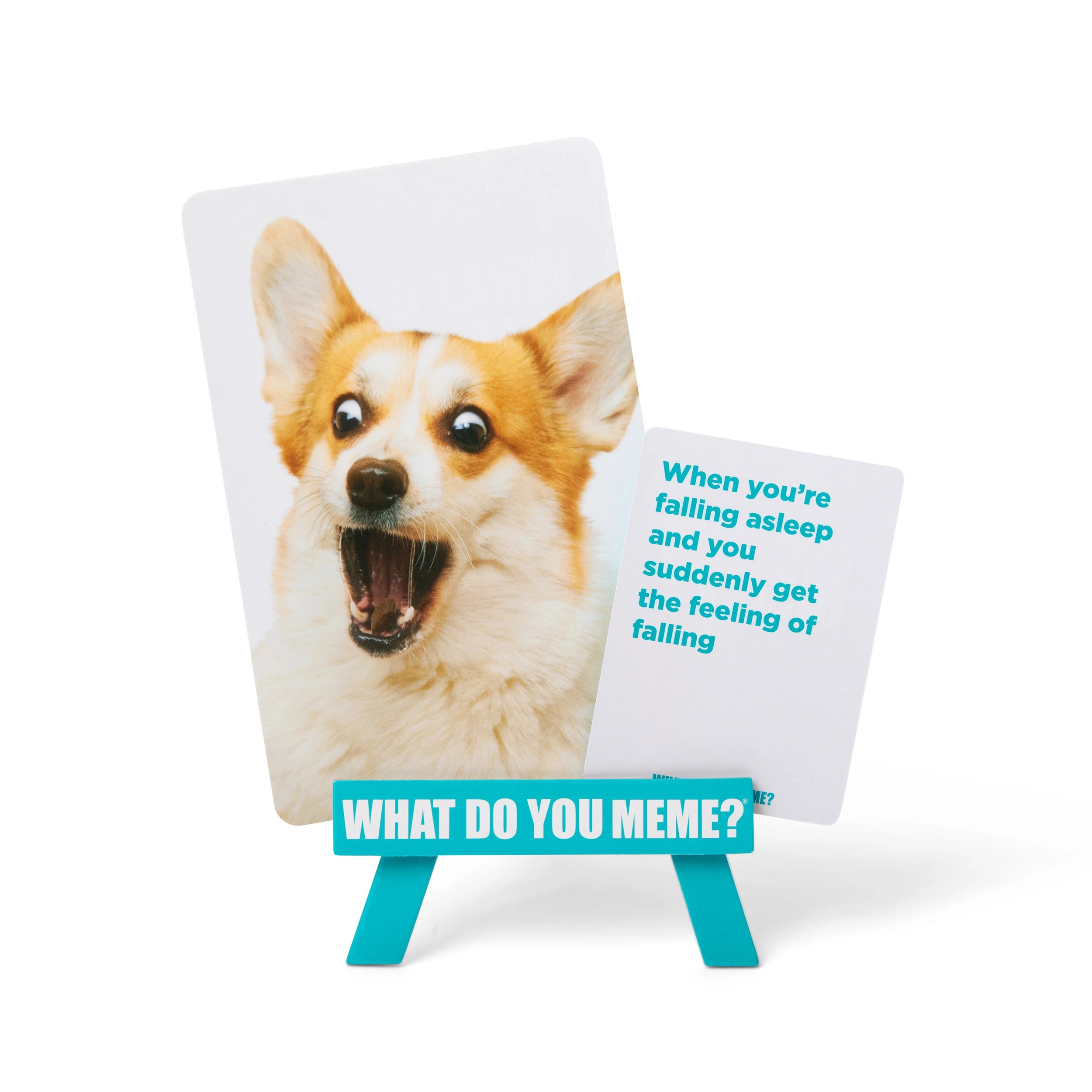 7 What Do You Meme? Family Edition, 7 of 9