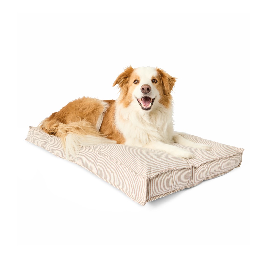 1 Pet Bed Rectangle Striped - Large, 1 of 8