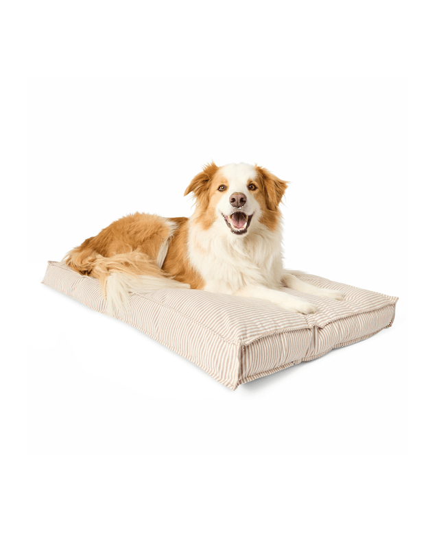 Pet Bed Rectangle Striped - L
